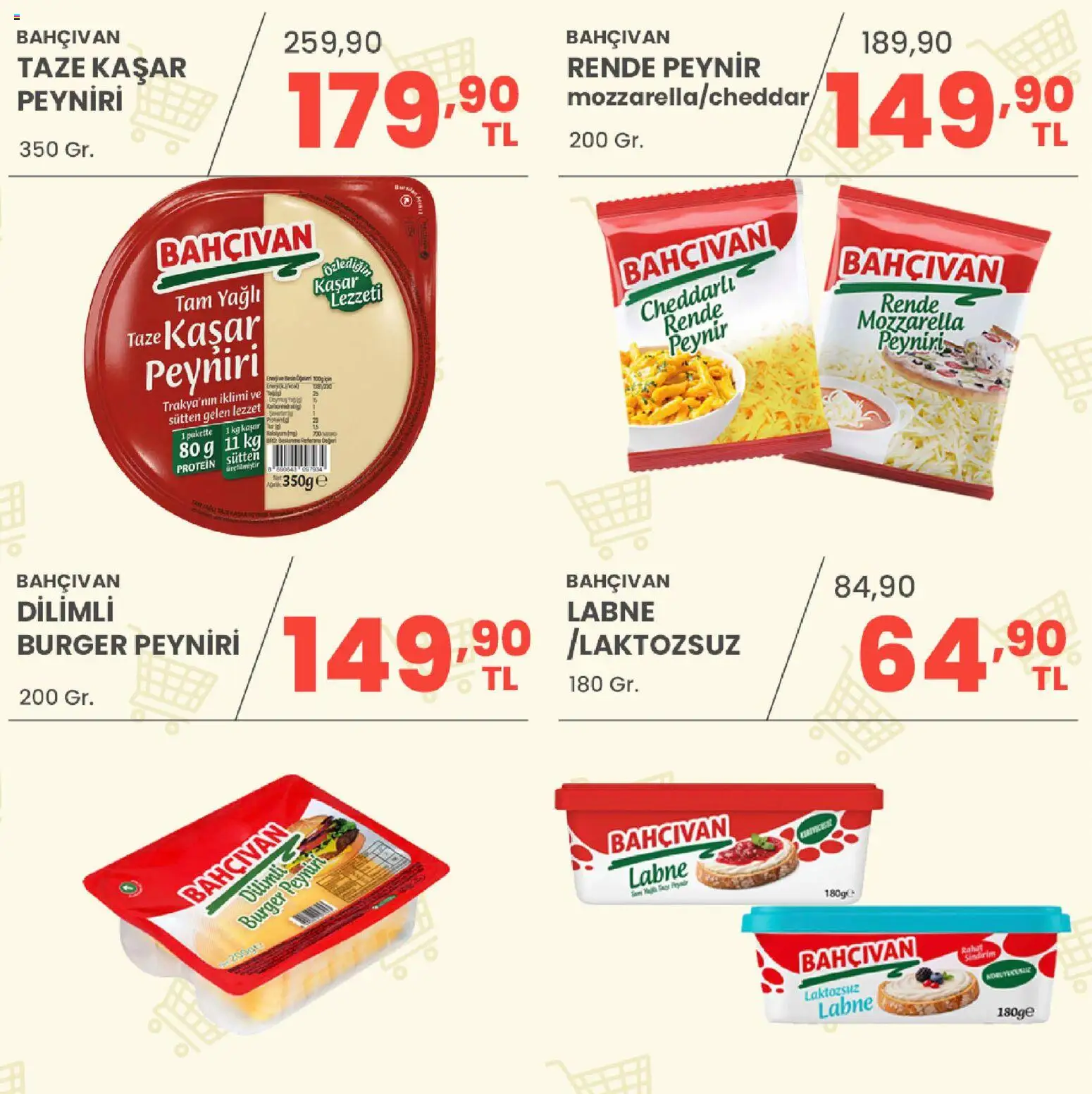 Sarıyer Katalog Katalog in Türkiye