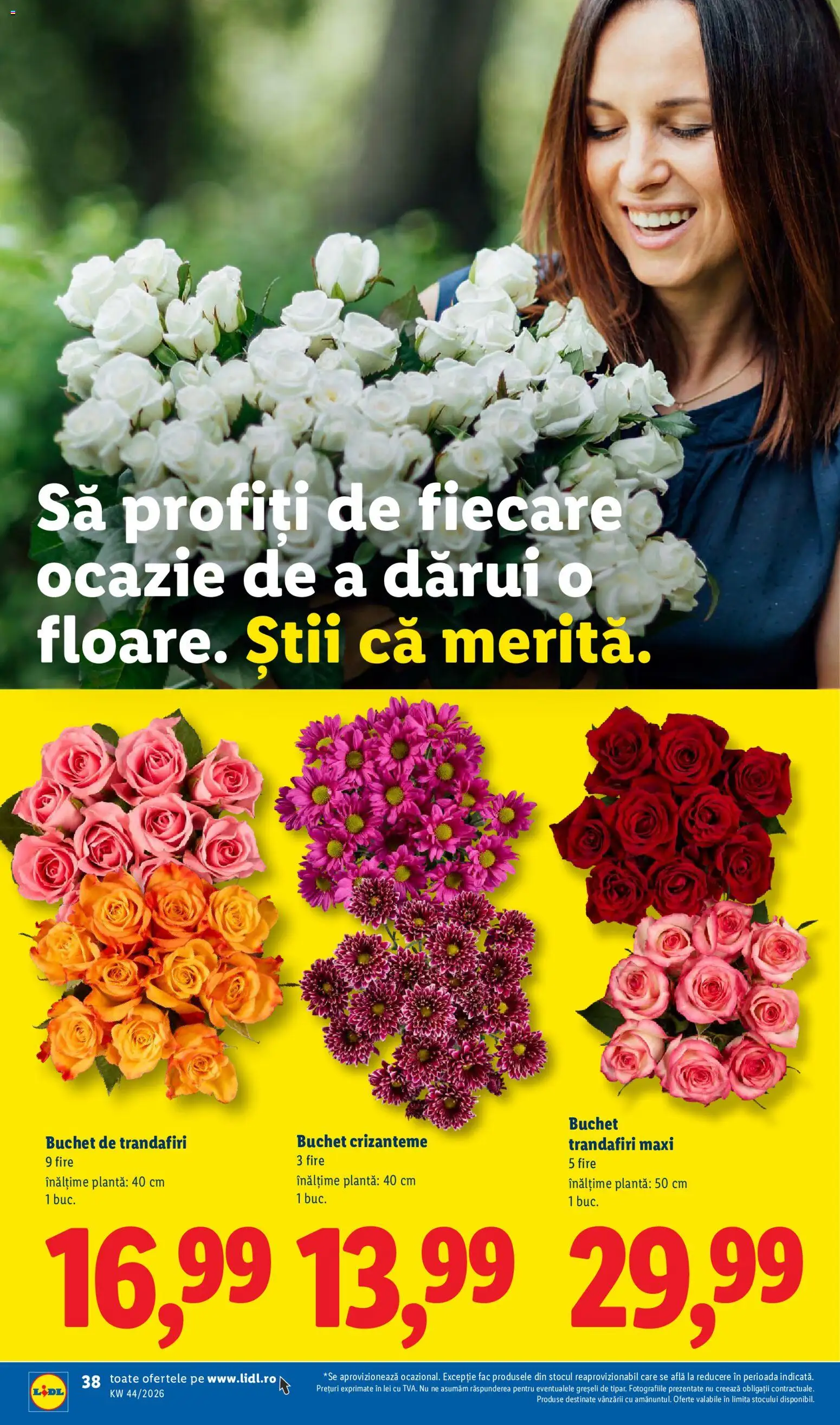 Lidl Catalog Catalog in România