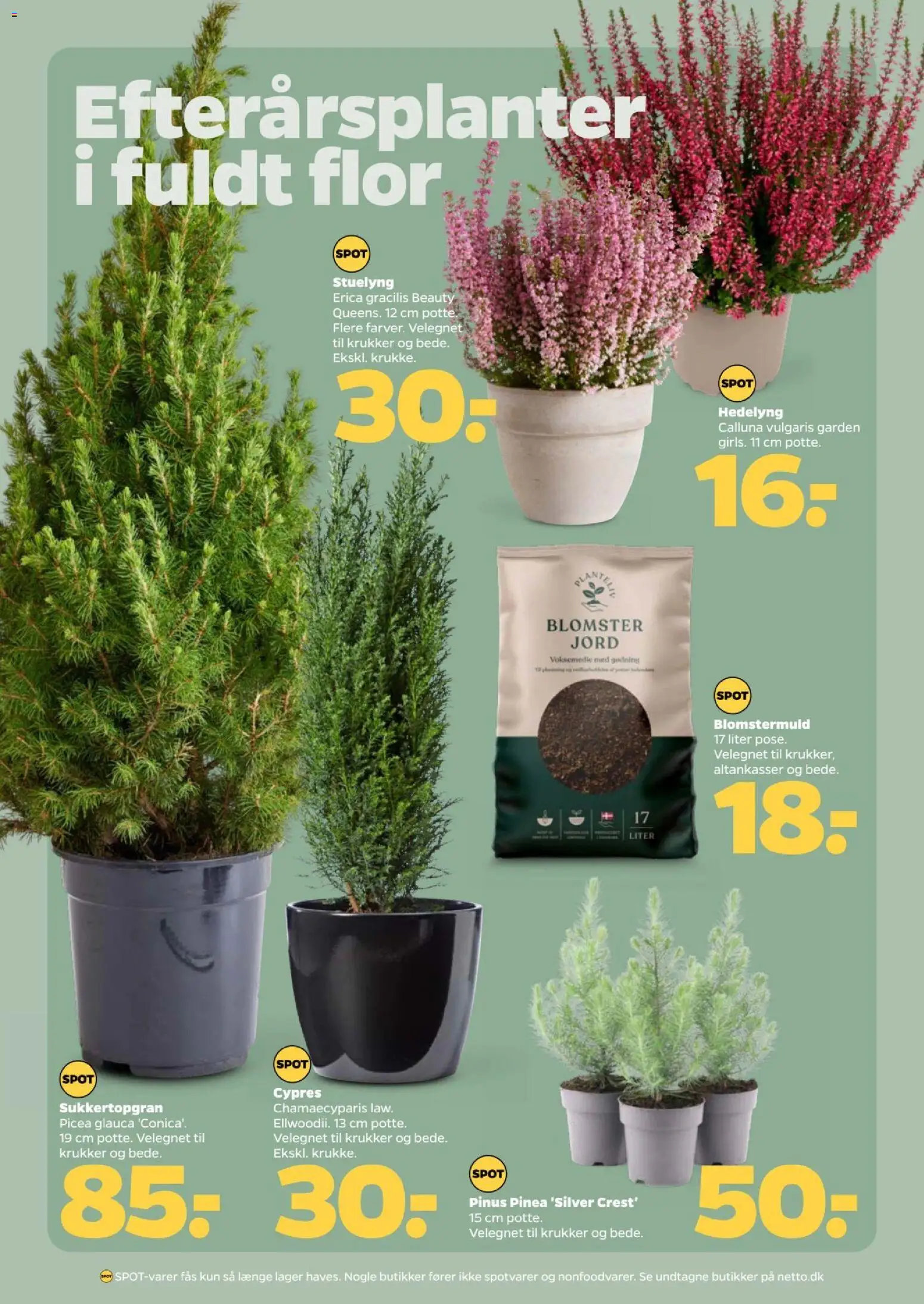 Netto - Tilbudsavis uge 42 Tilbudsavis in Danmark