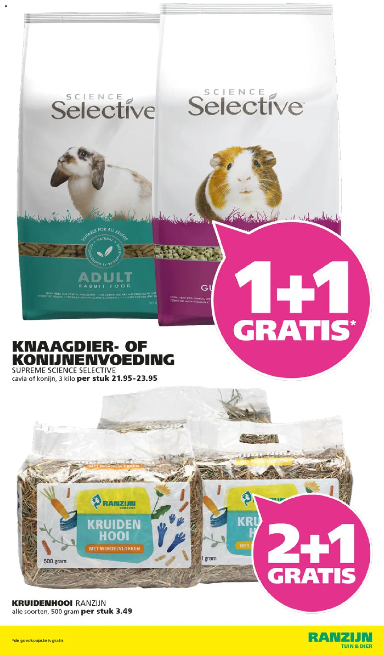 Ranzijn folder Folder in Nederland