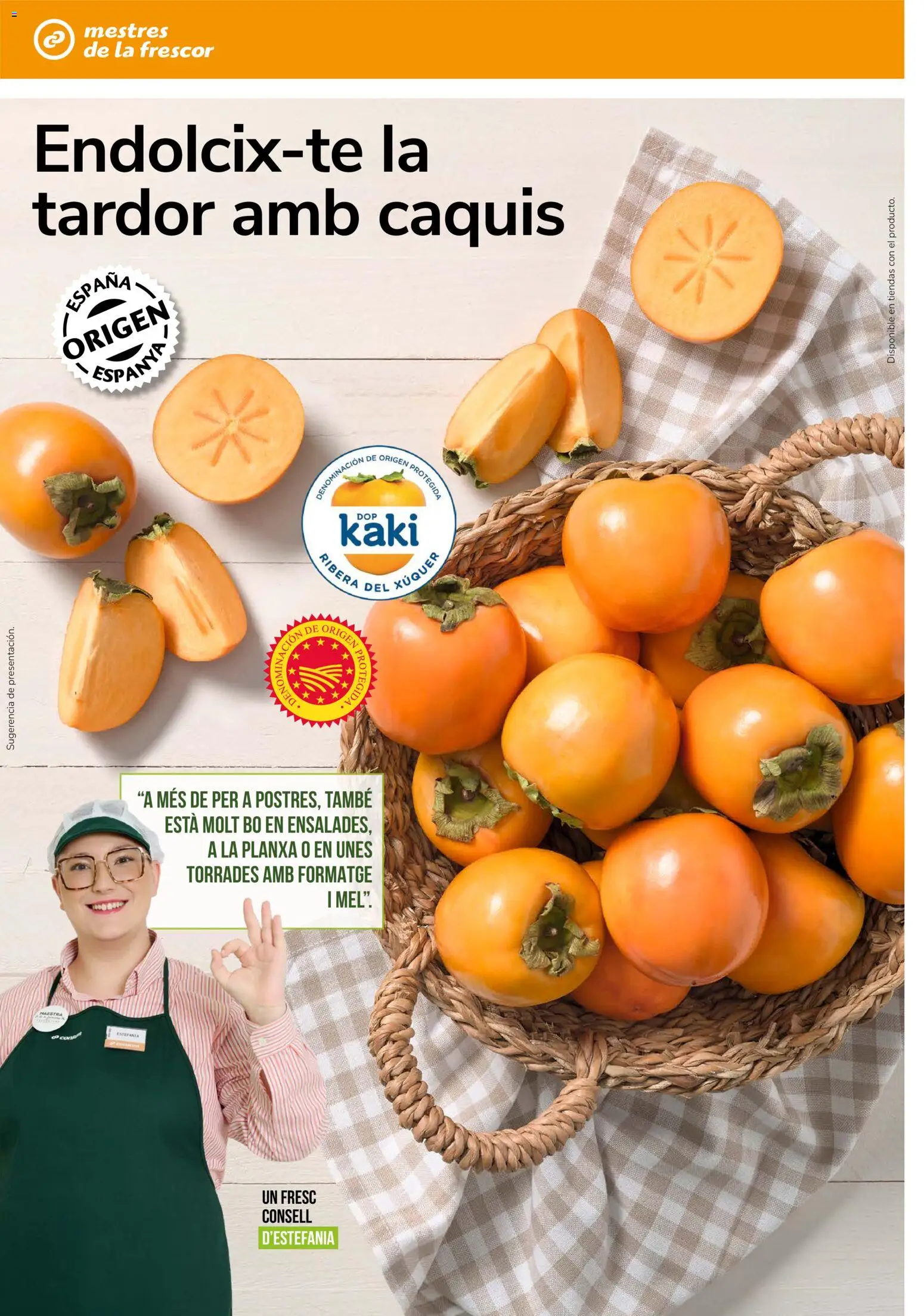 Consum - folleto Folleto in España