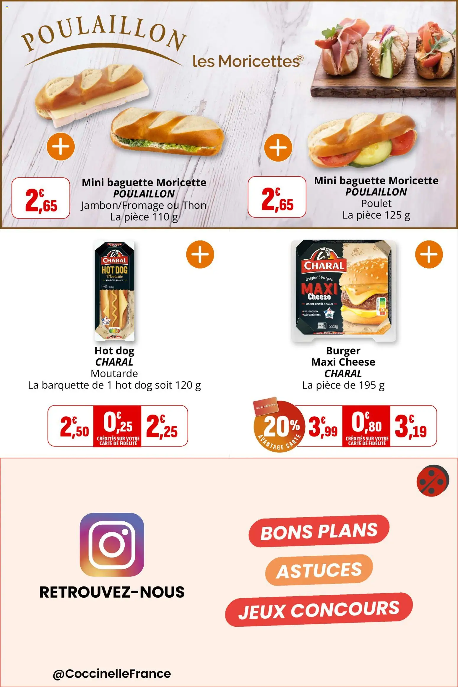 Coccinelle catalogue Catalogue in France