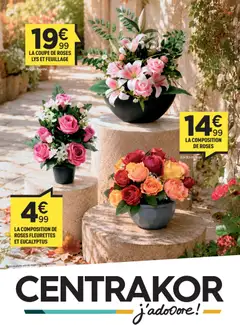 Centrakor Centrakor catalogue