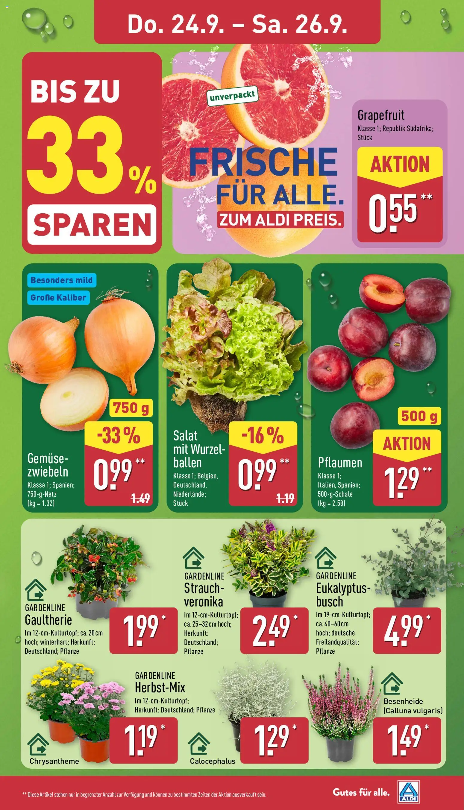 Aldi Prospekt Prospekt in Deutschland