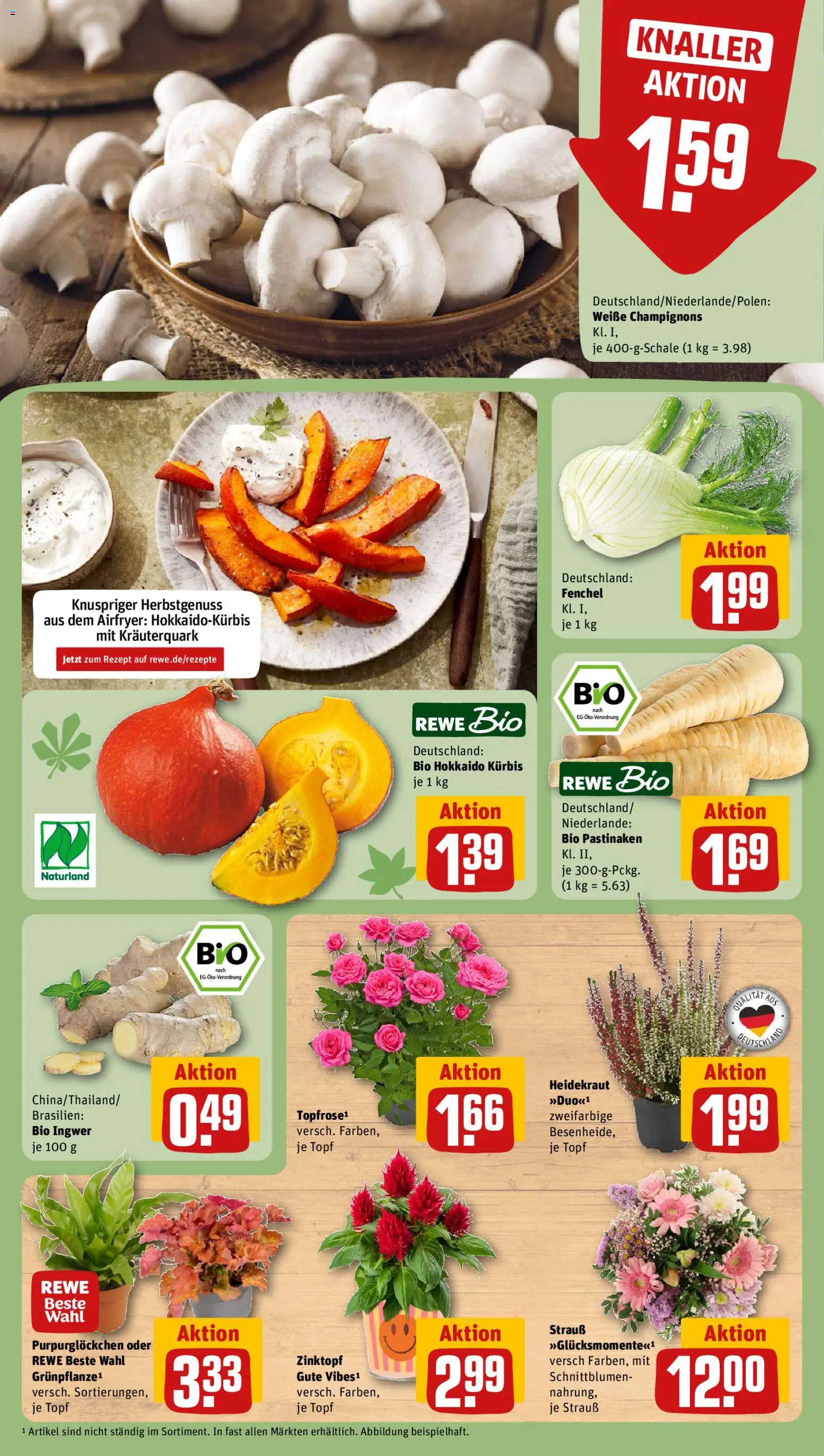Rewe Prospekt Prospekt in Deutschland