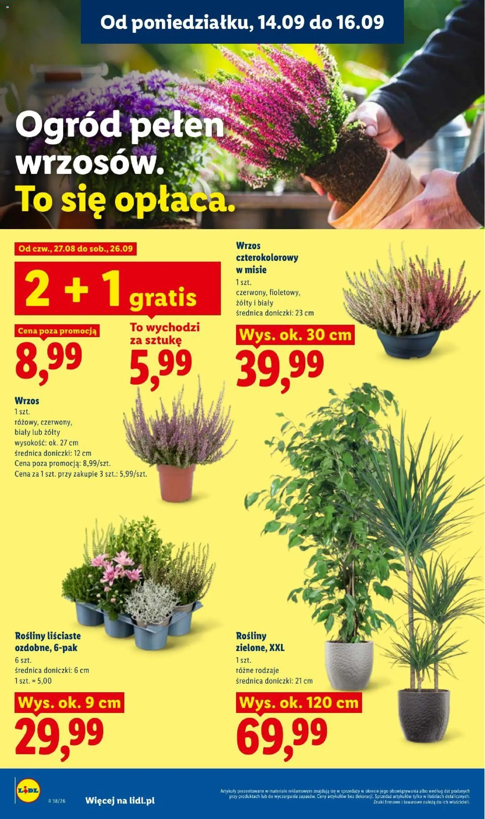 Lidl gazetka Gazetka in Polska