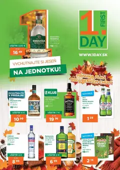 1day 1day leták