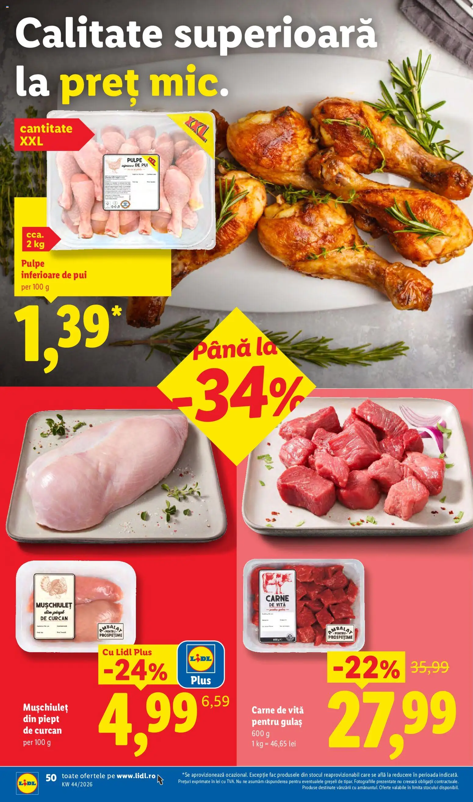 Lidl Catalog Catalog in România