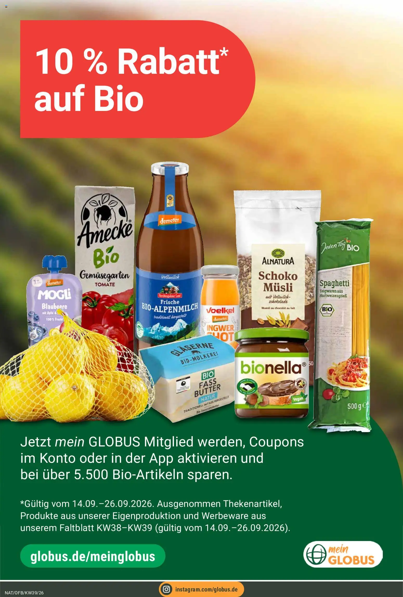 Globus Prospekt Prospekt in Deutschland