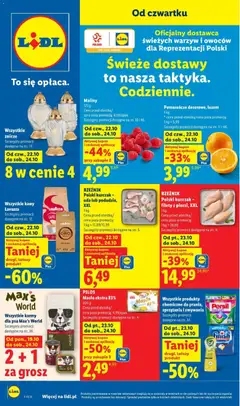 Lidl Lidl gazetka
