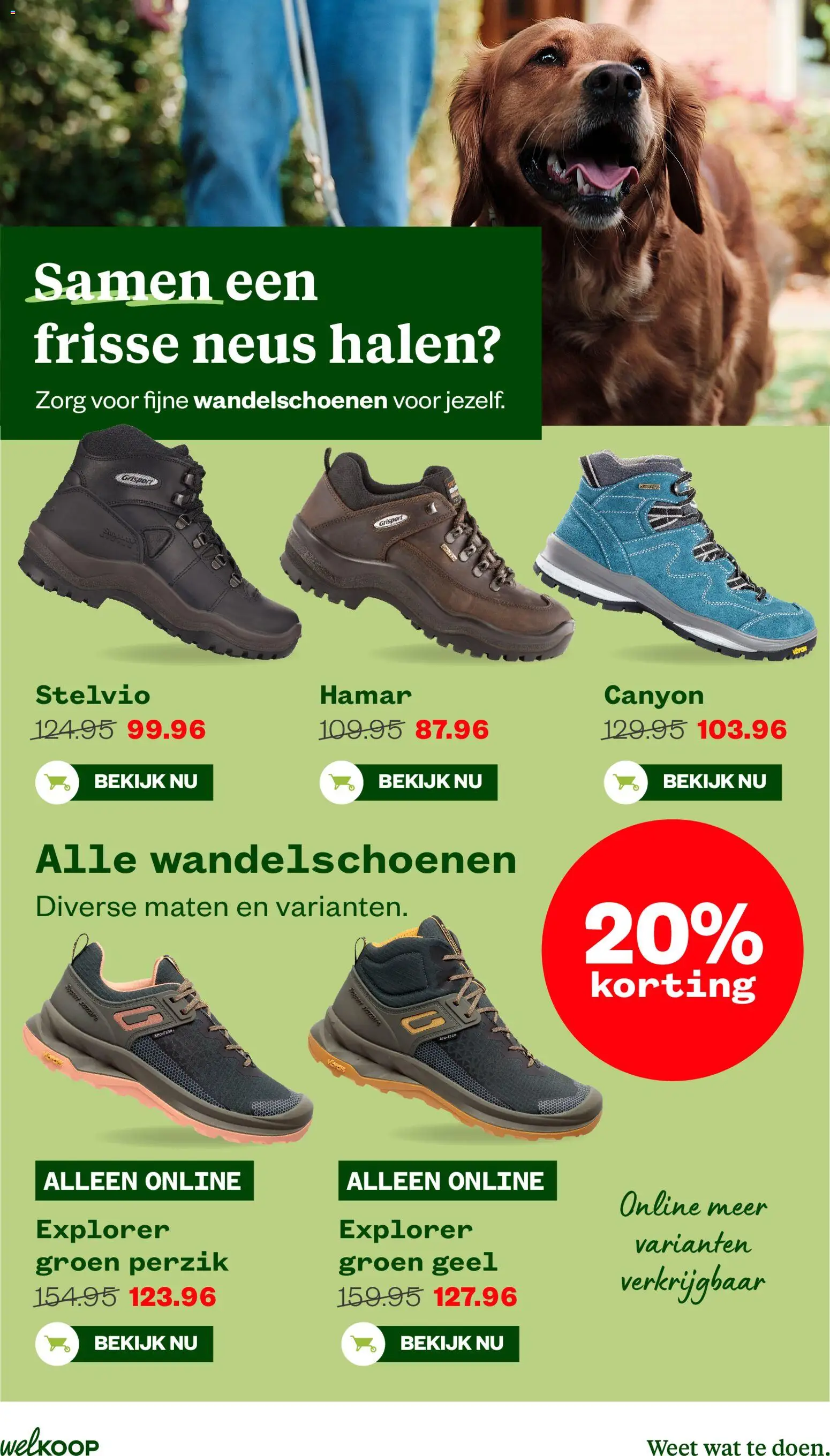 Welkoop folder Folder in Nederland