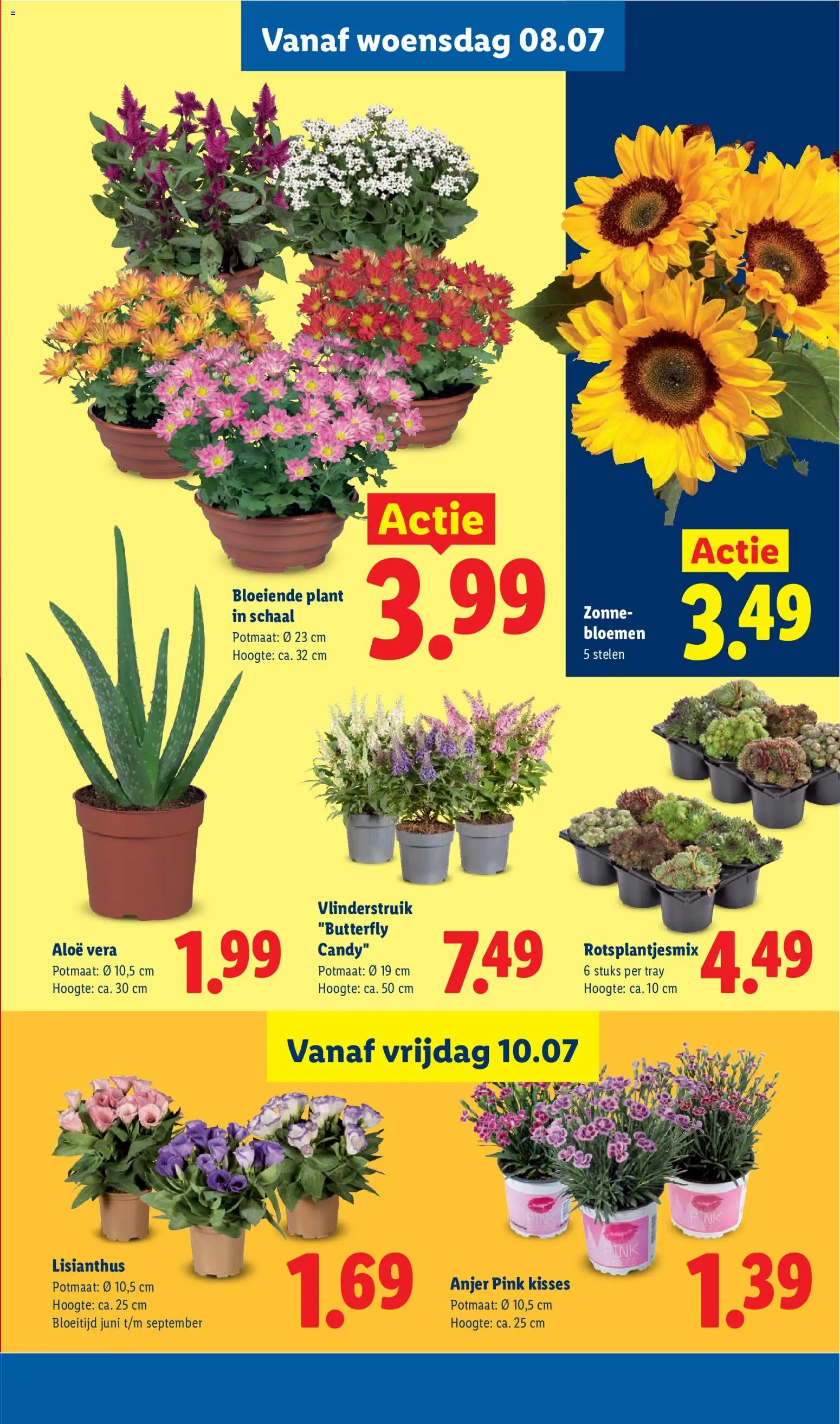 Nieuwe » Lidl folder voor Juli « is er! Ontdek geweldige aanbiedingen en bespaar. | Nederland