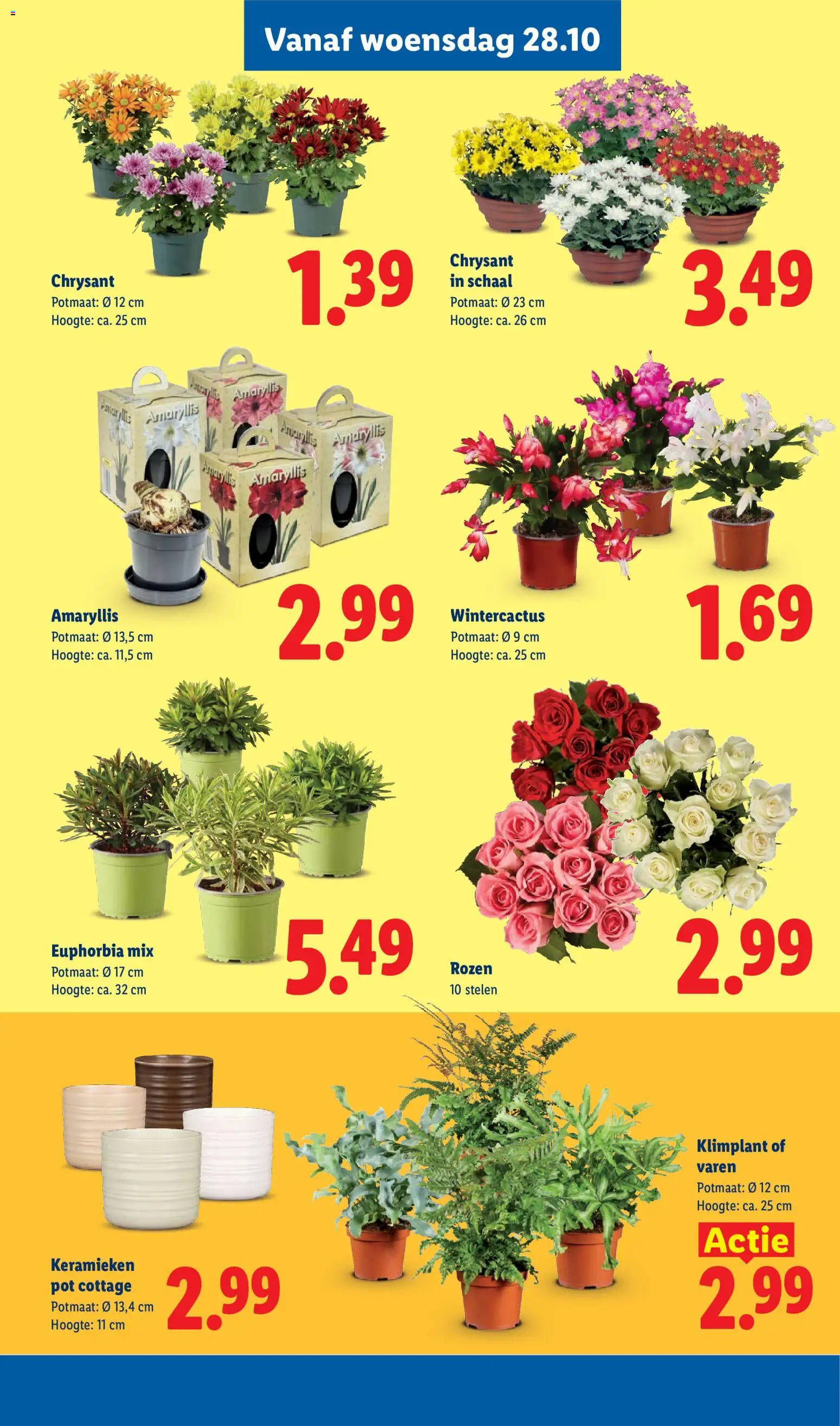 Lidl folder Folder in Nederland