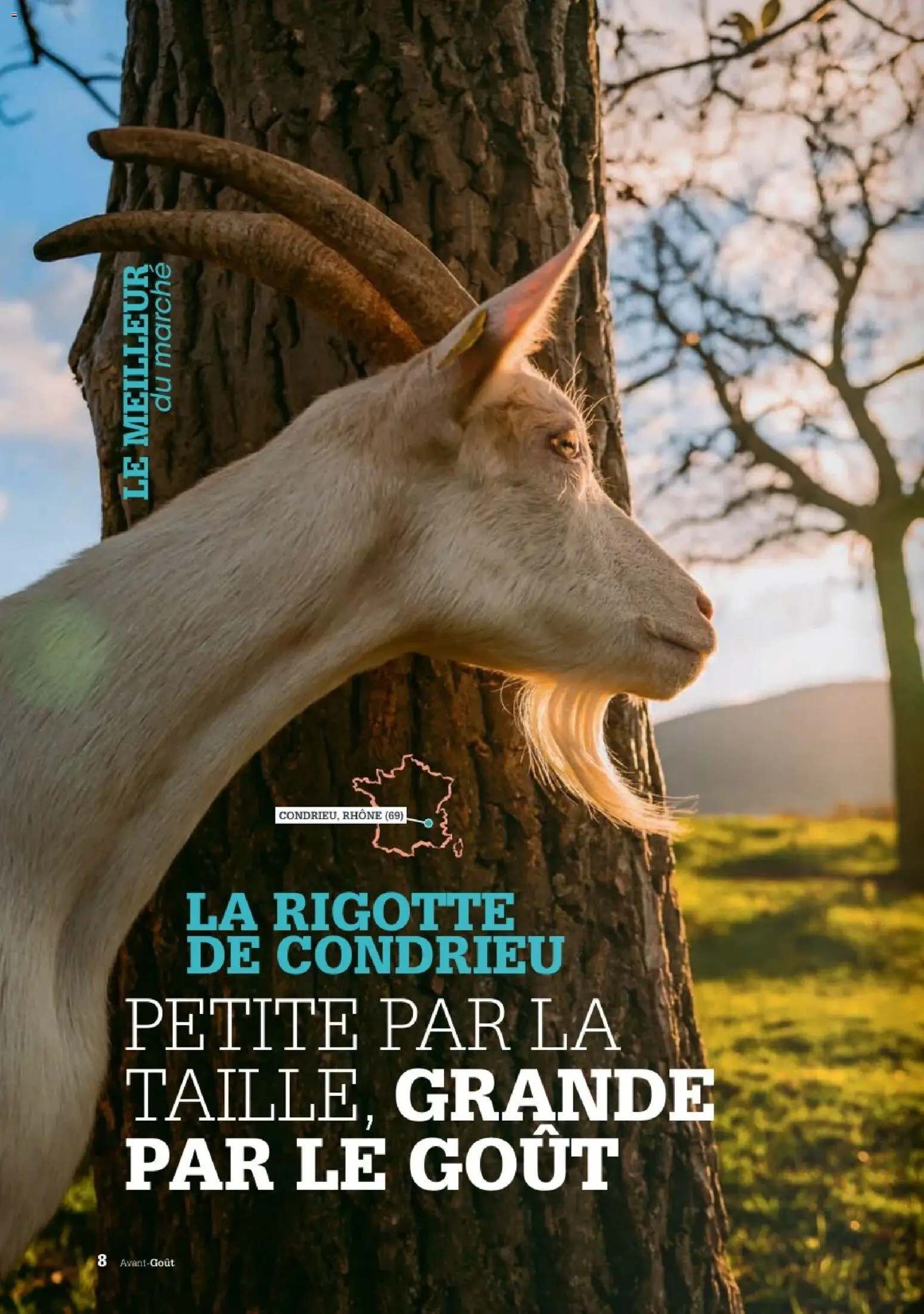 Les promos Grand Frais débarquent le 02/06/2026 ! 🤯💰 | France