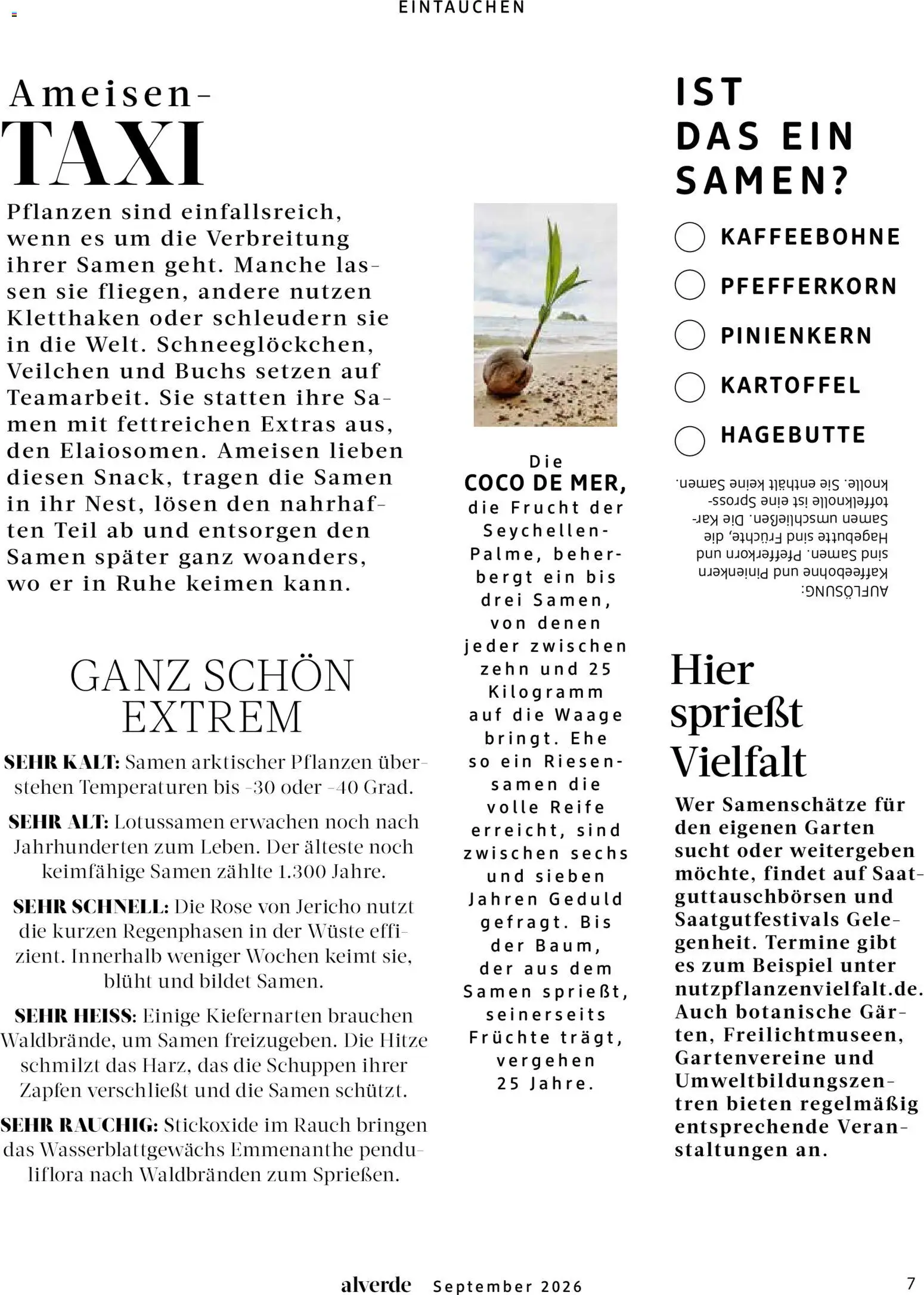 dm drogerie Prospekt Prospekt in Deutschland