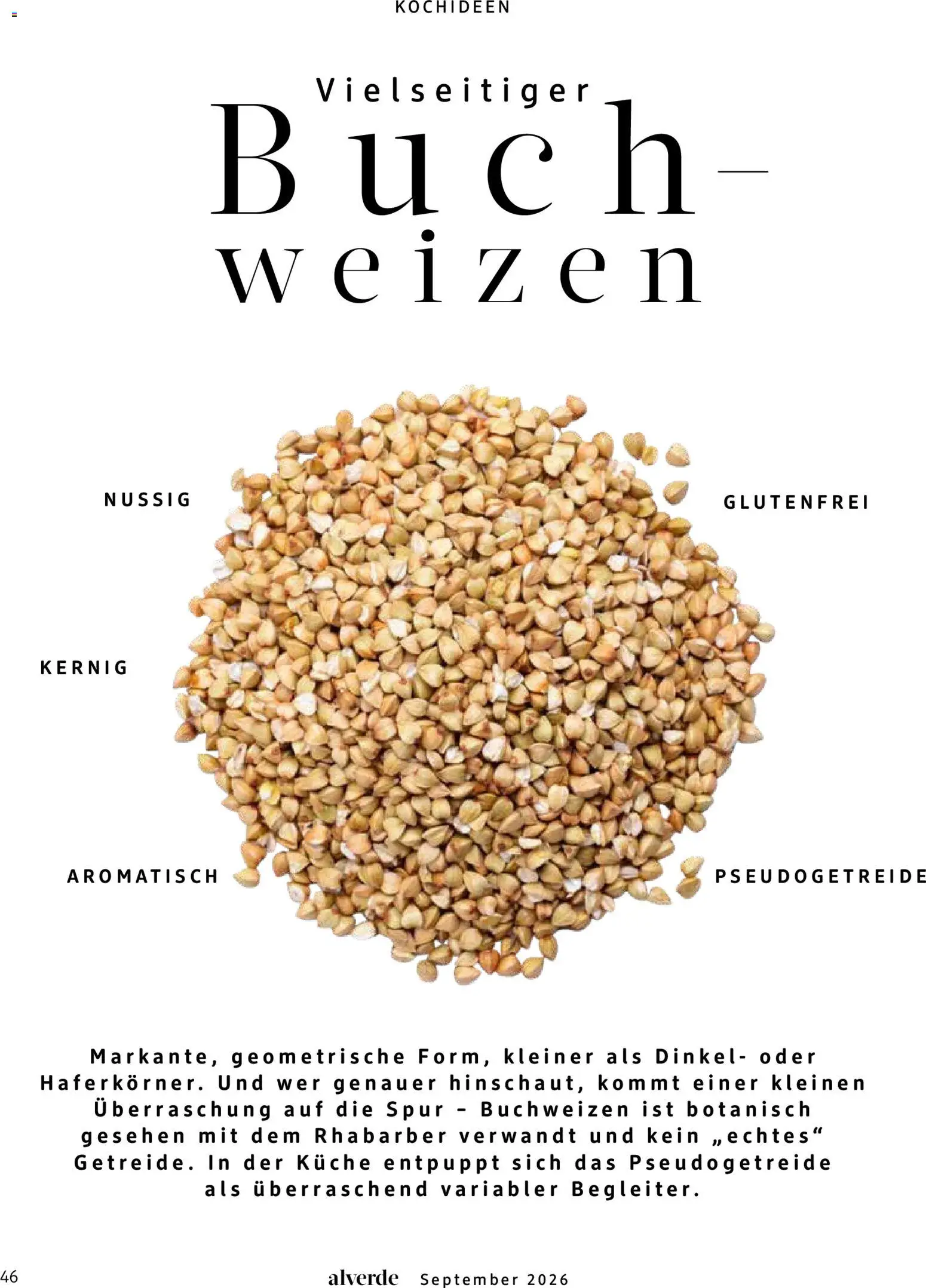 dm drogerie Prospekt Prospekt in Deutschland