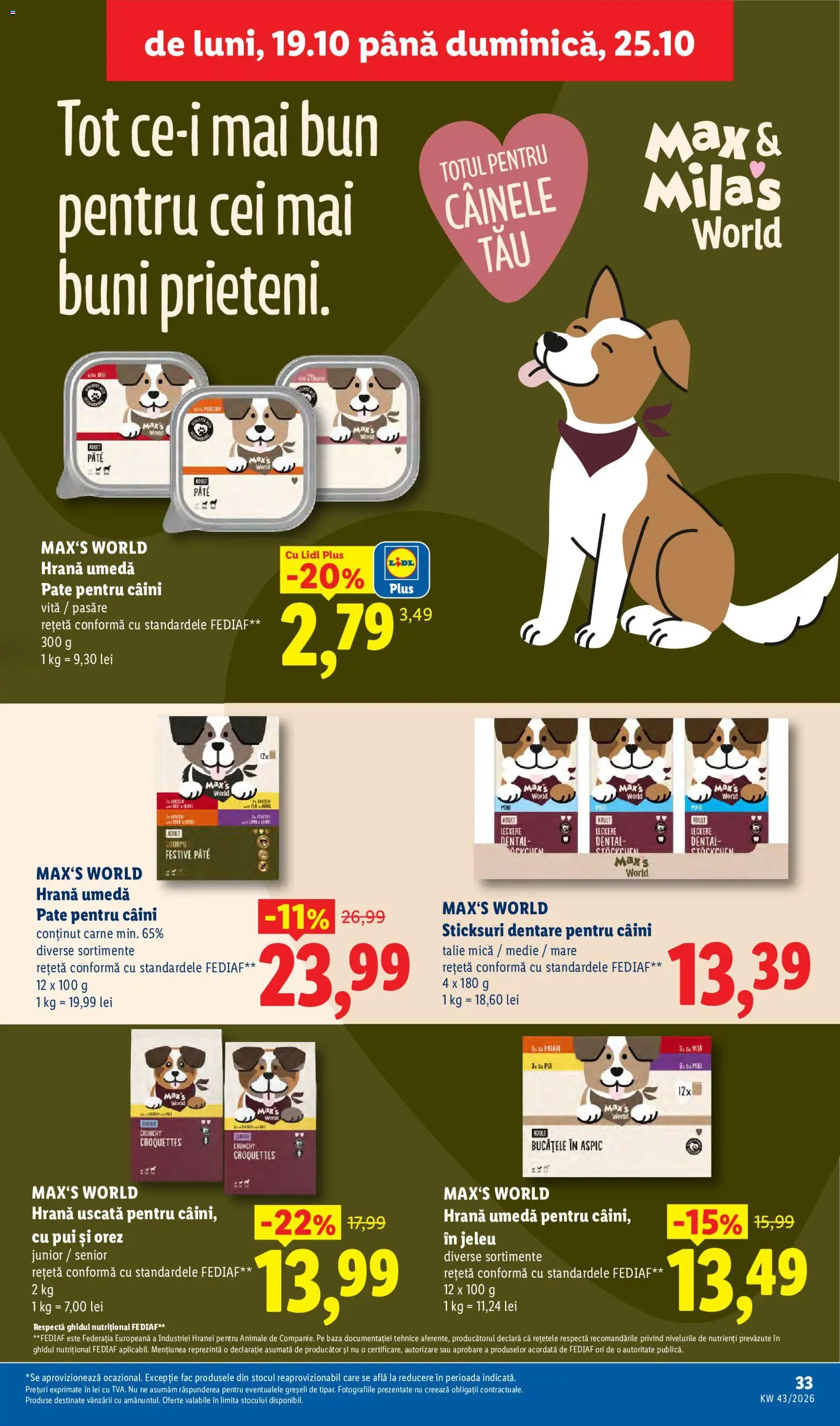 Lidl Catalog Catalog in România