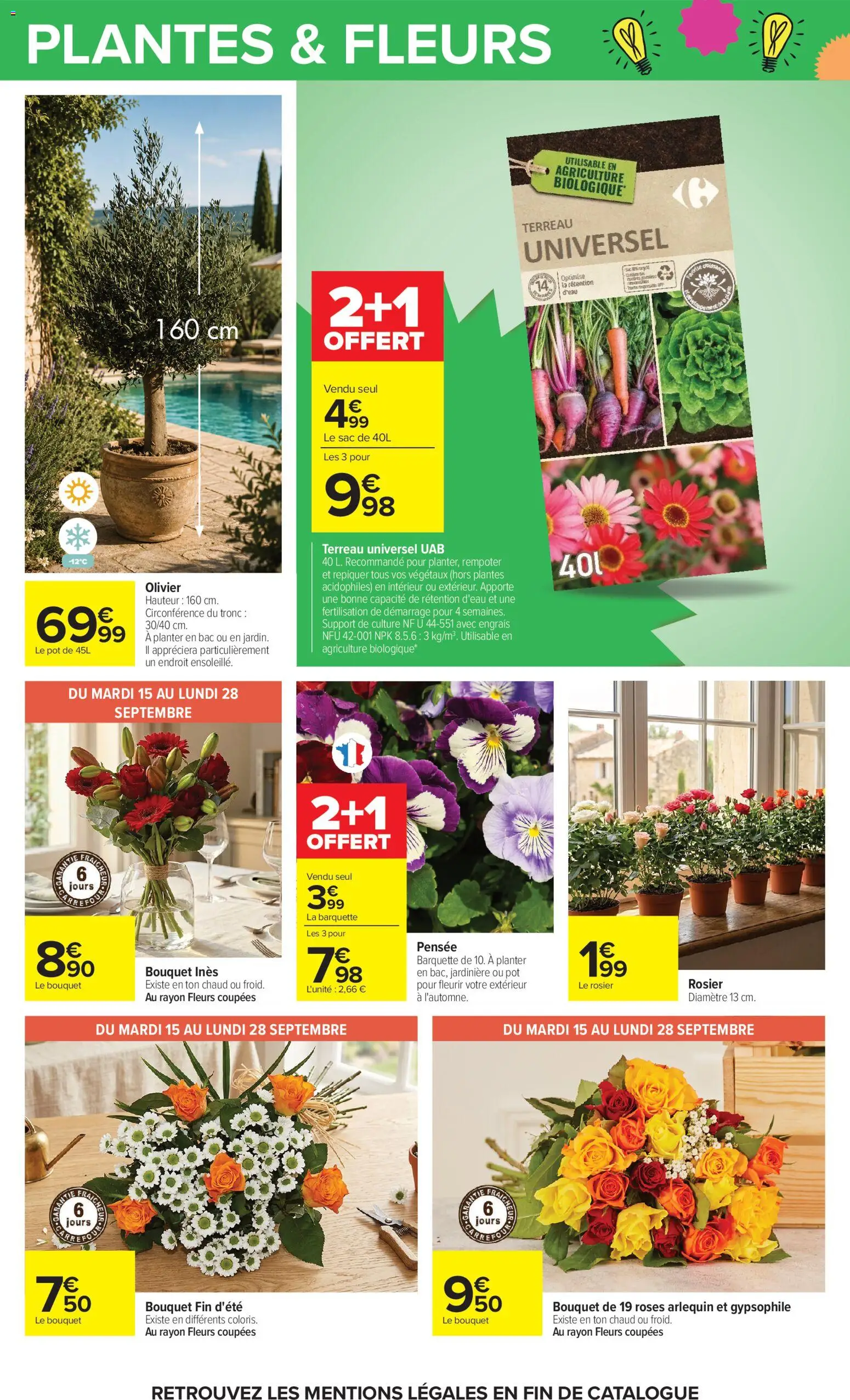 Carrefour catalogue Catalogue in France