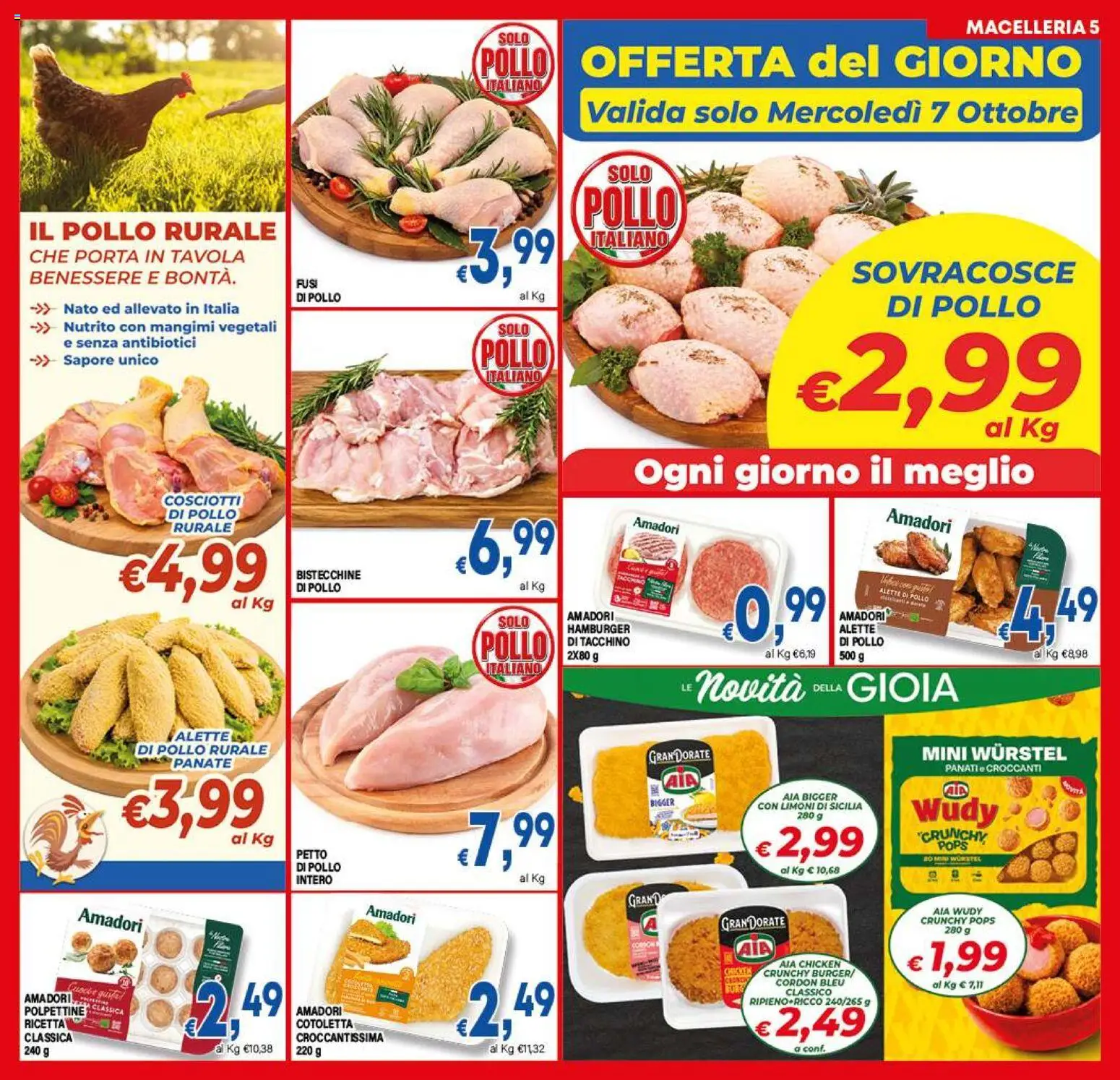 DEM volantino Volantino in Italy
