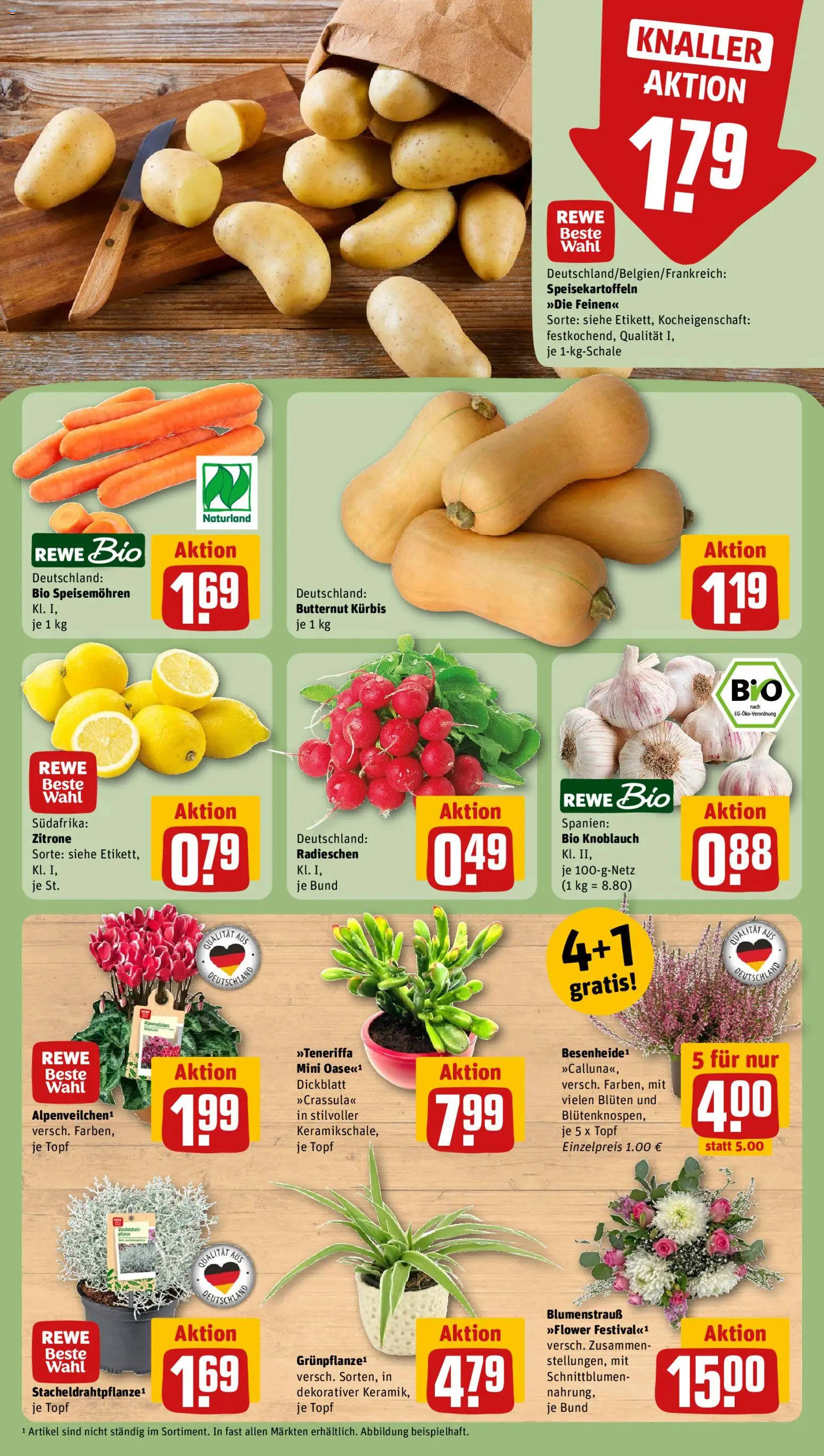 Rewe Prospekt Prospekt in Deutschland