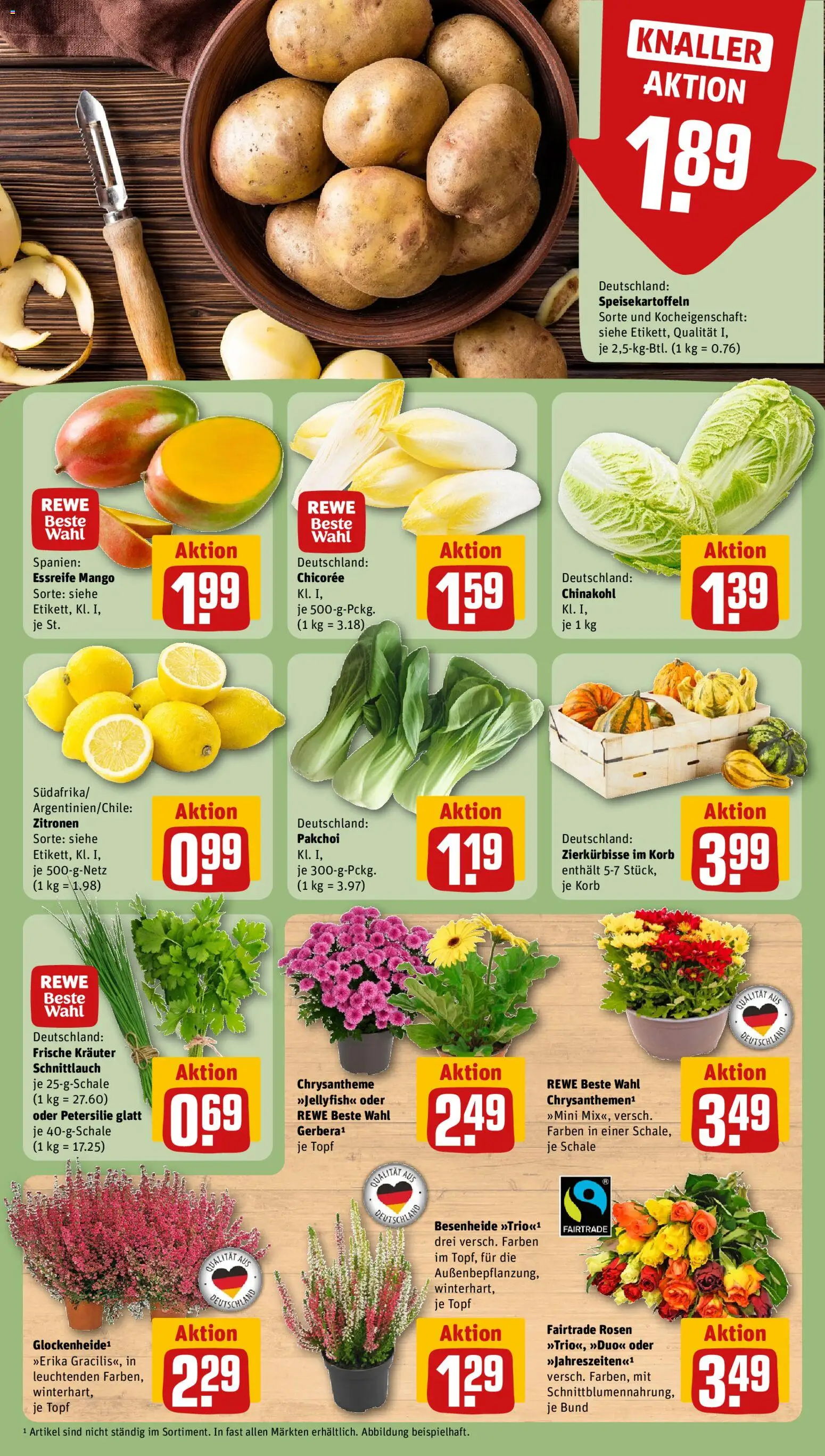 Rewe Prospekt Prospekt in Deutschland