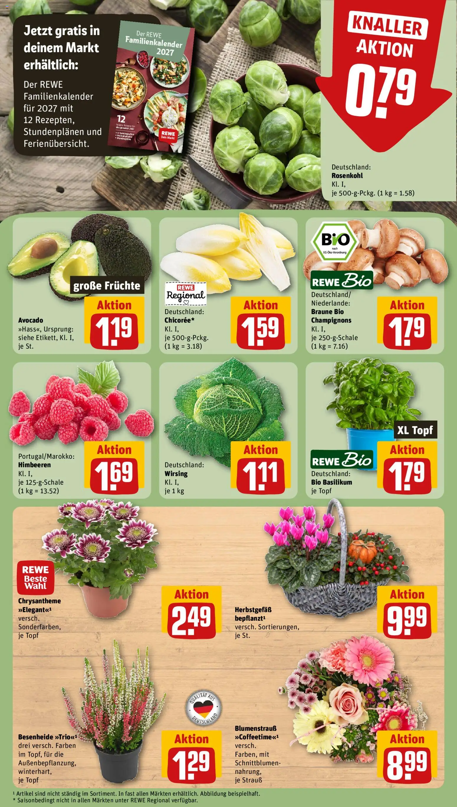 Rewe Prospekt Prospekt in Deutschland