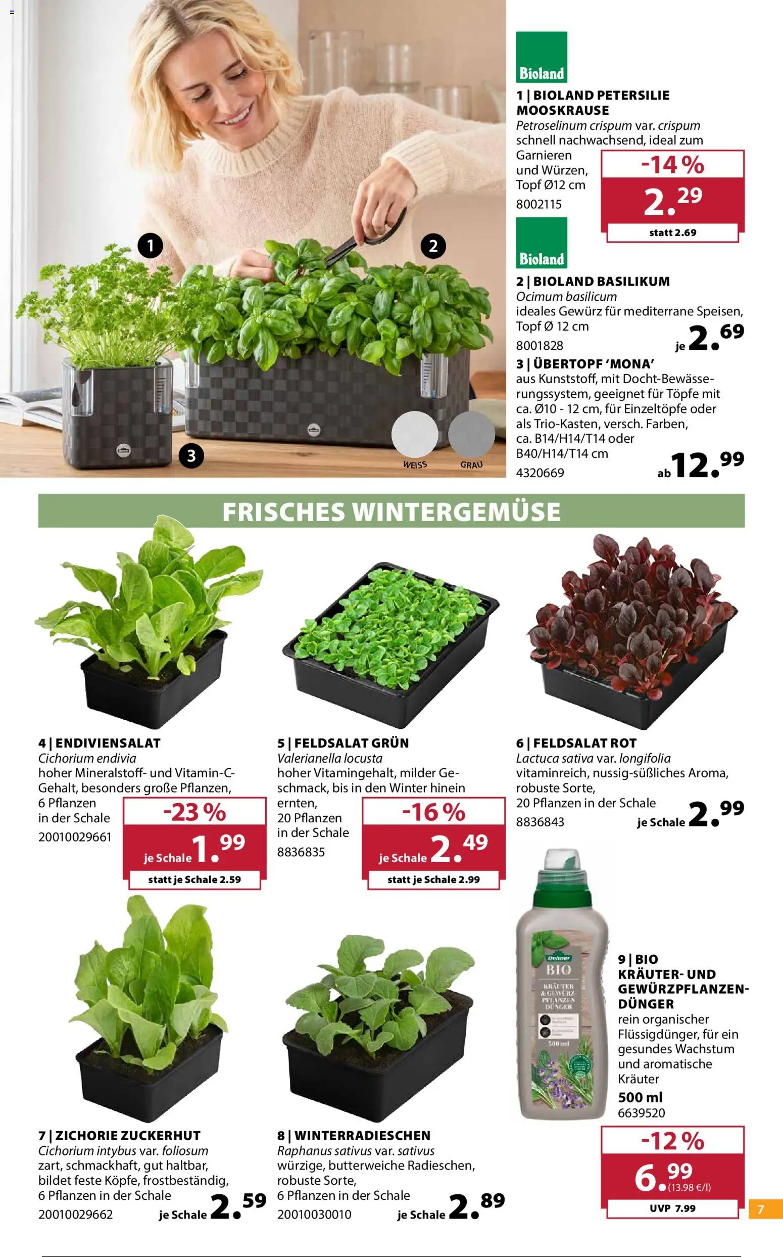 Dehner Prospekt Prospekt in Deutschland