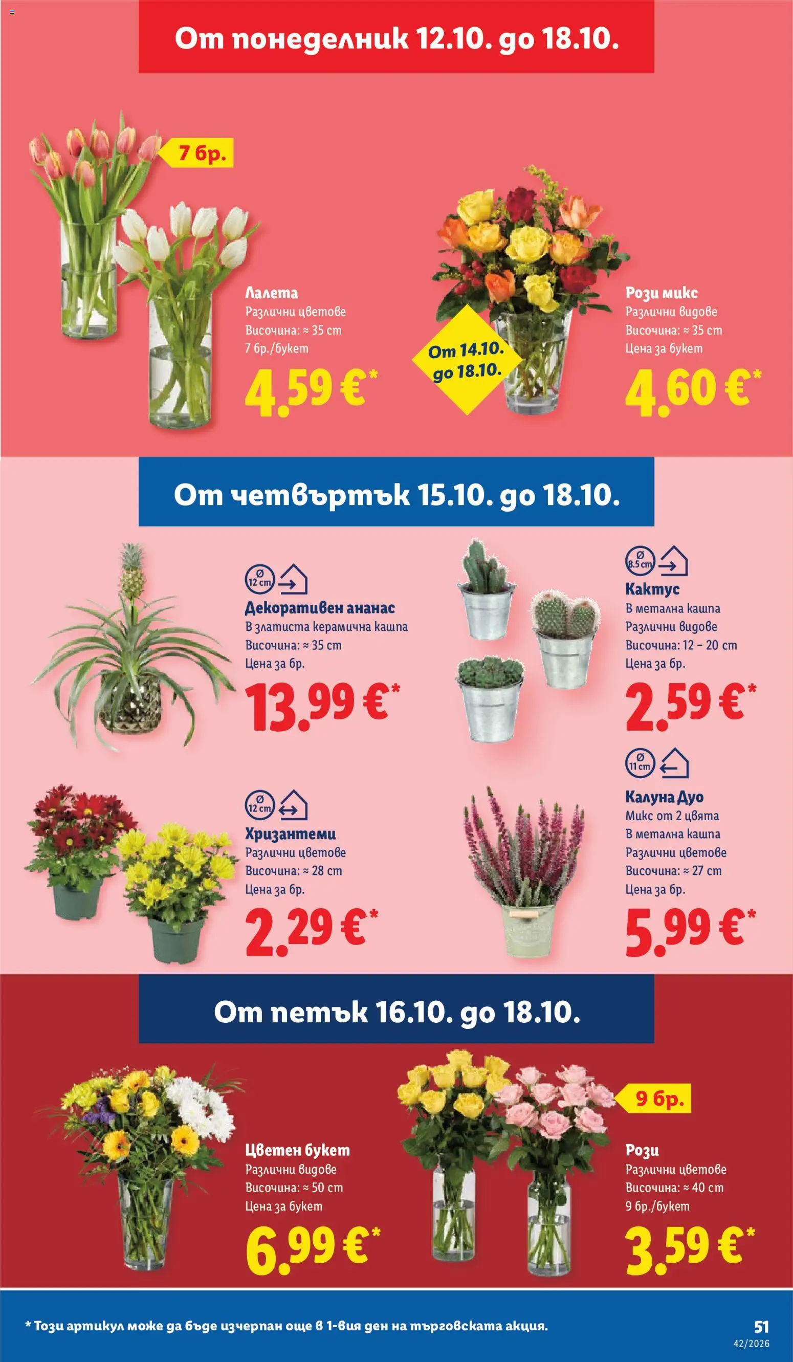 Лидл Cедмична брошура Брошура in България