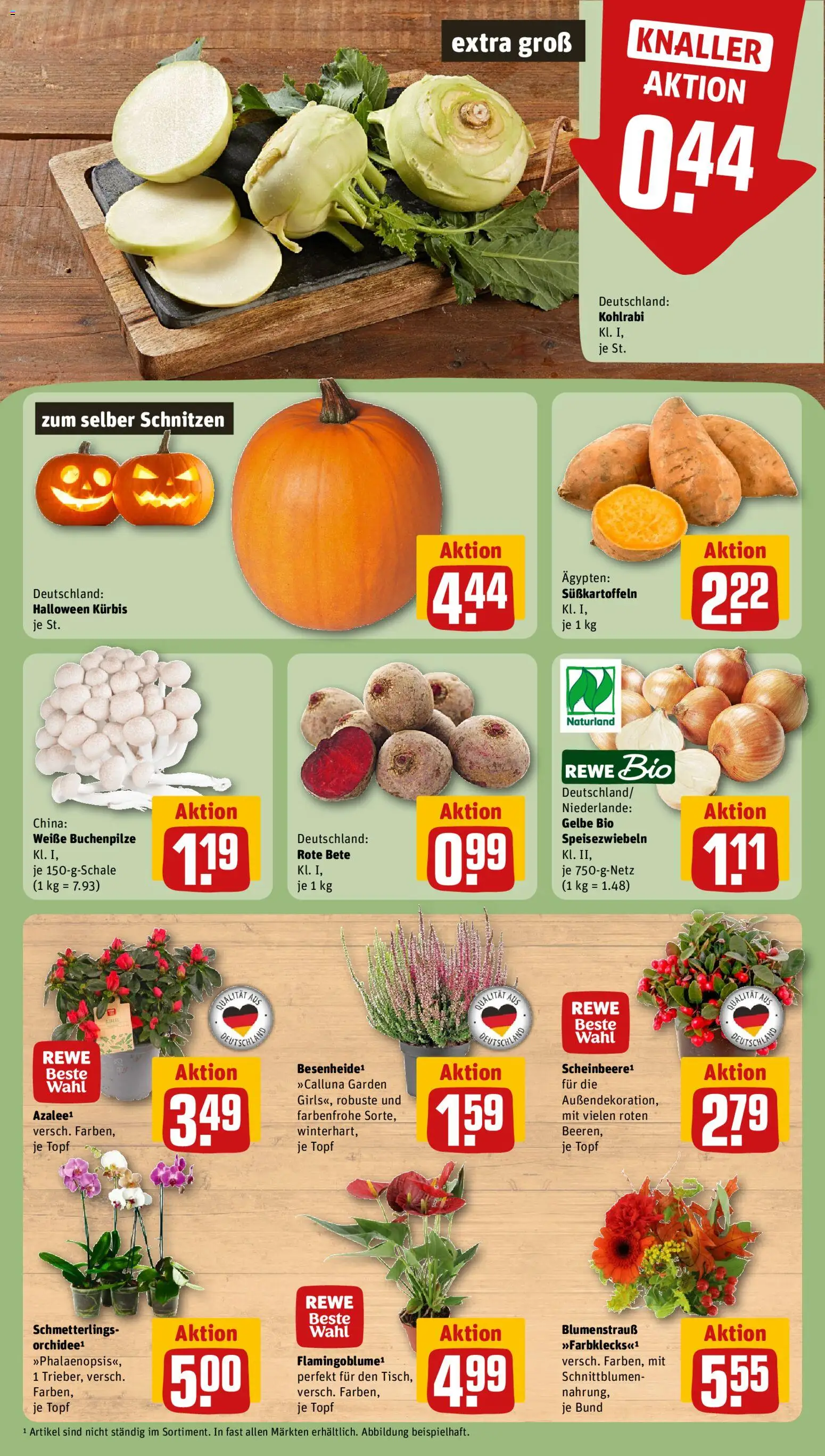 Rewe Prospekt Prospekt in Deutschland