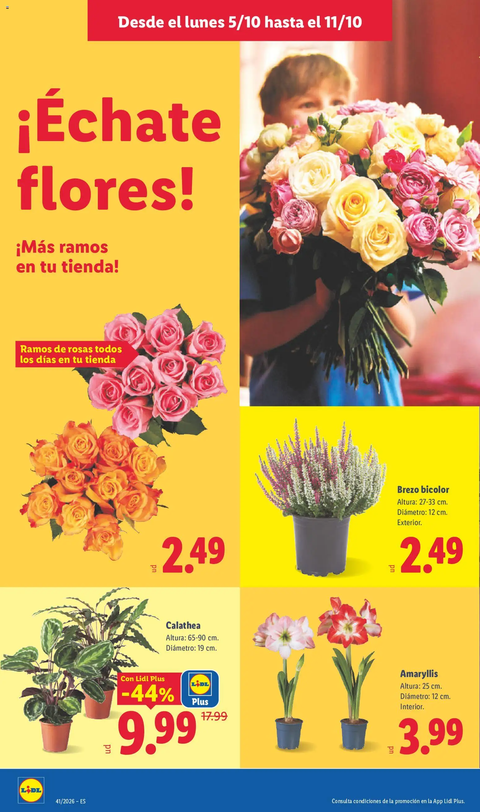 Lidl folleto Folleto in España
