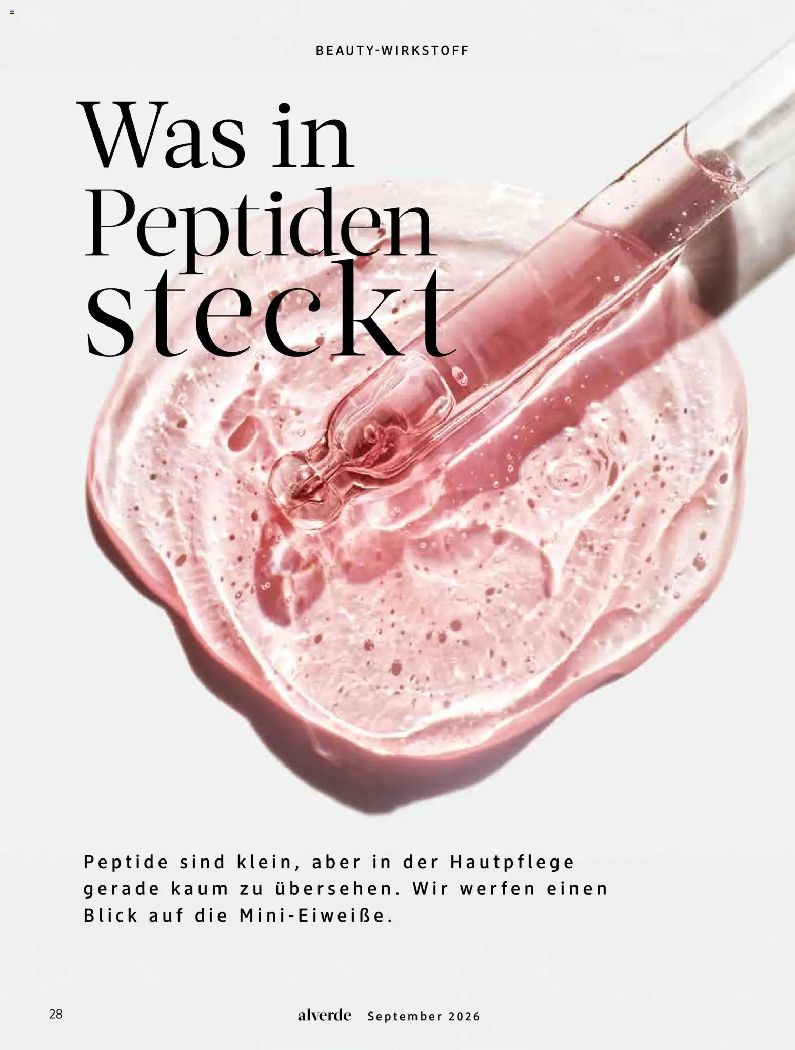 dm drogerie Prospekt Prospekt in Deutschland
