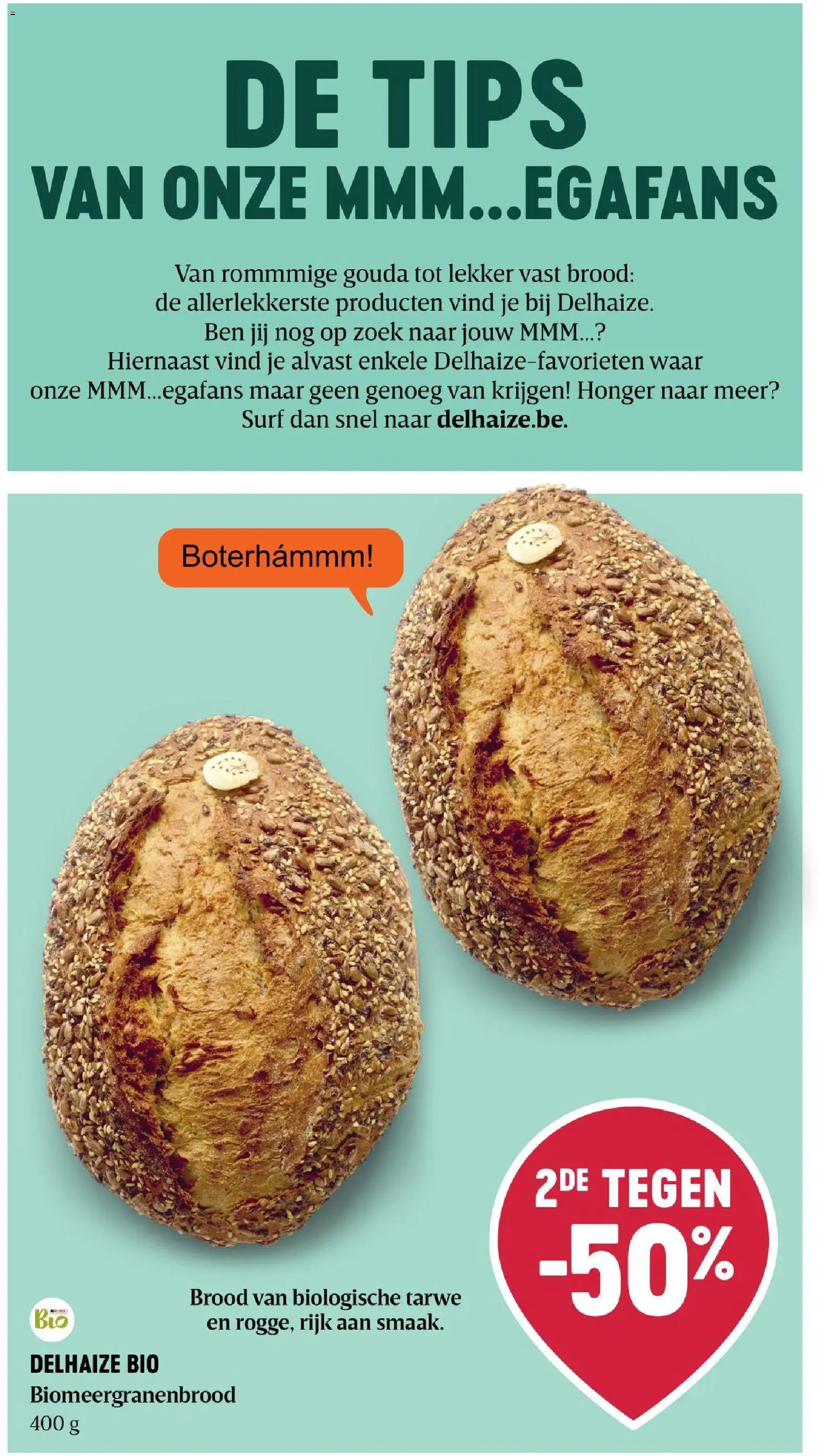 Delhaize folder Folder in België