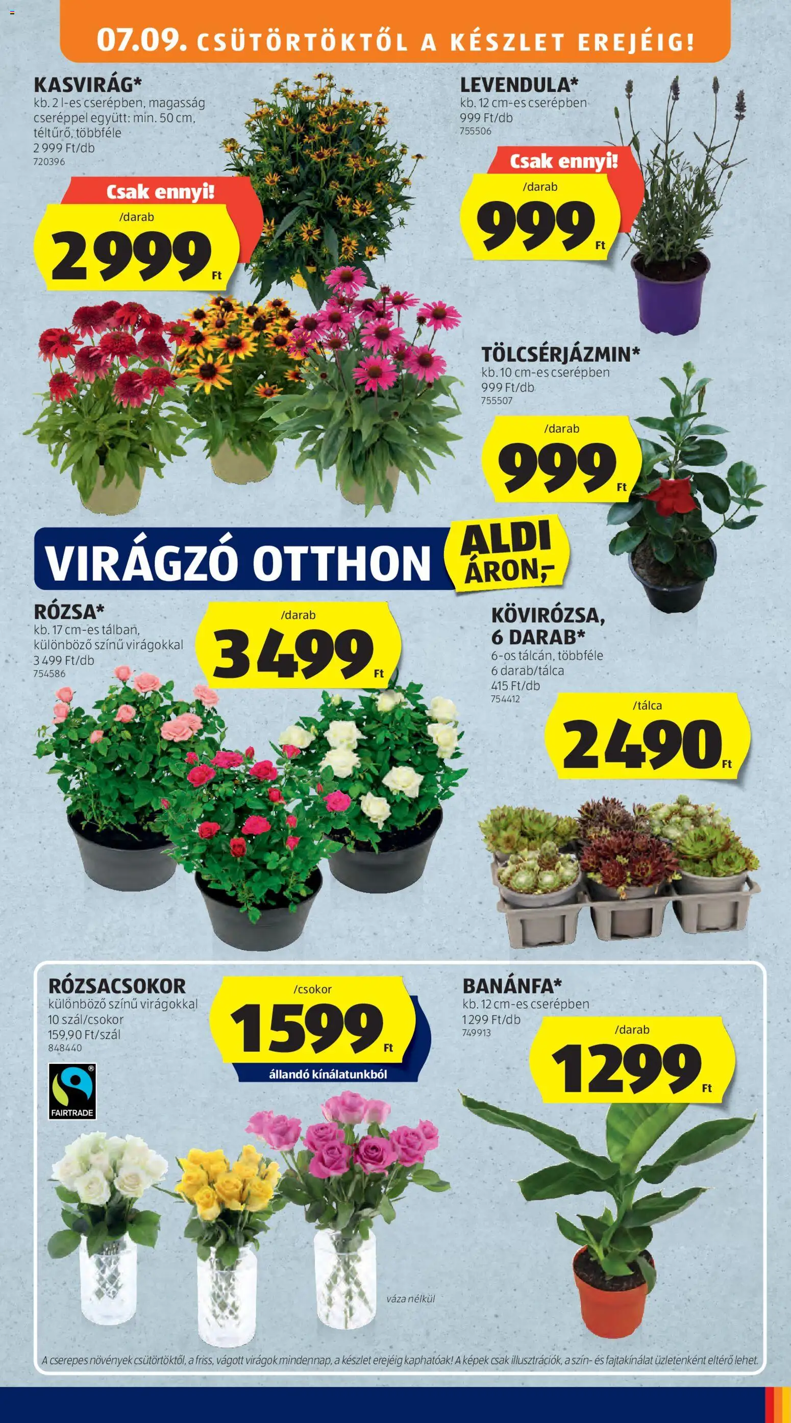 Aldi akciós újság ⚡ 2026.07.09.-tól/től ⚡ Szórólap | Magyarország