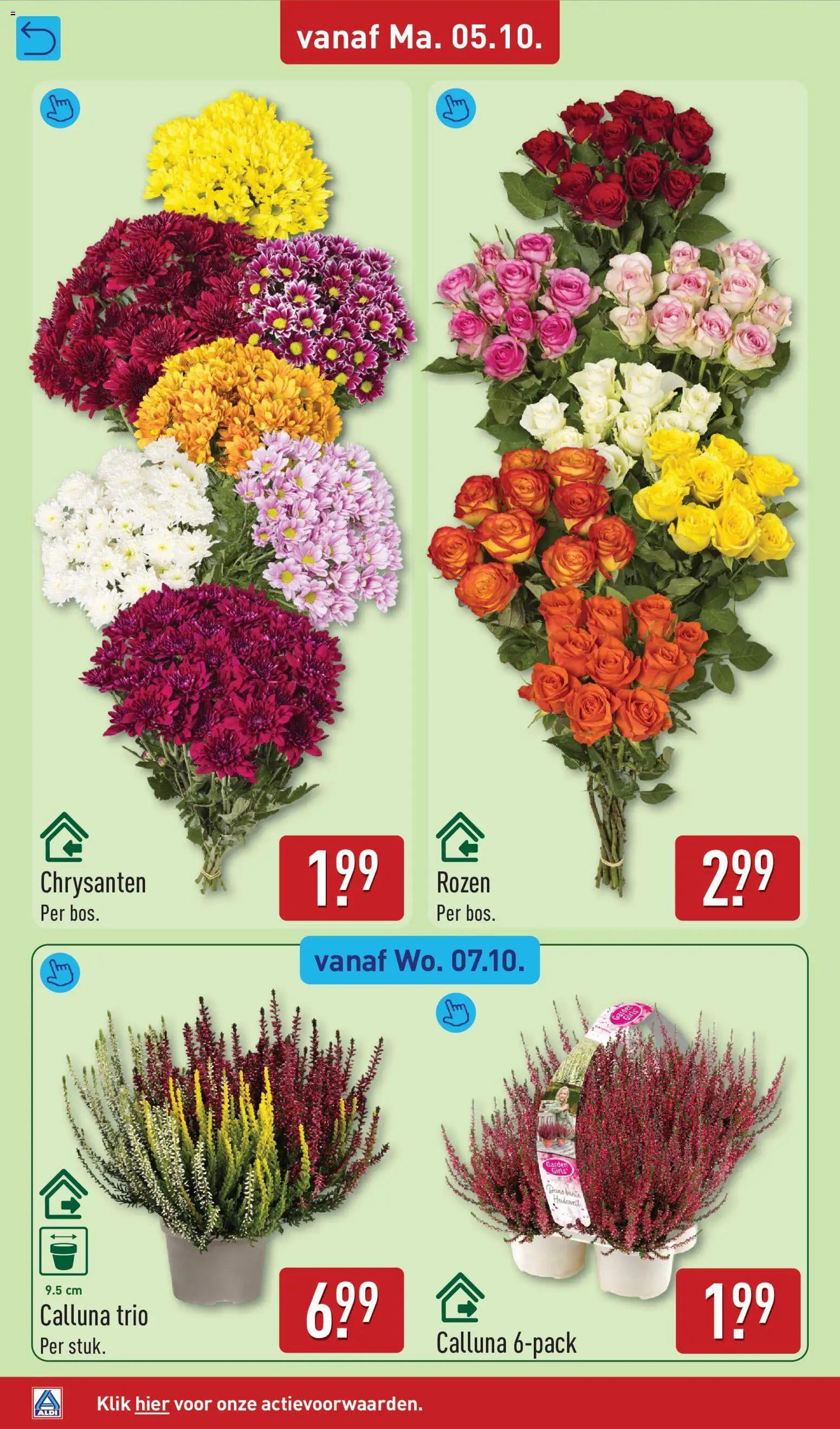 Aldi folder week 41 Folder in Nederland