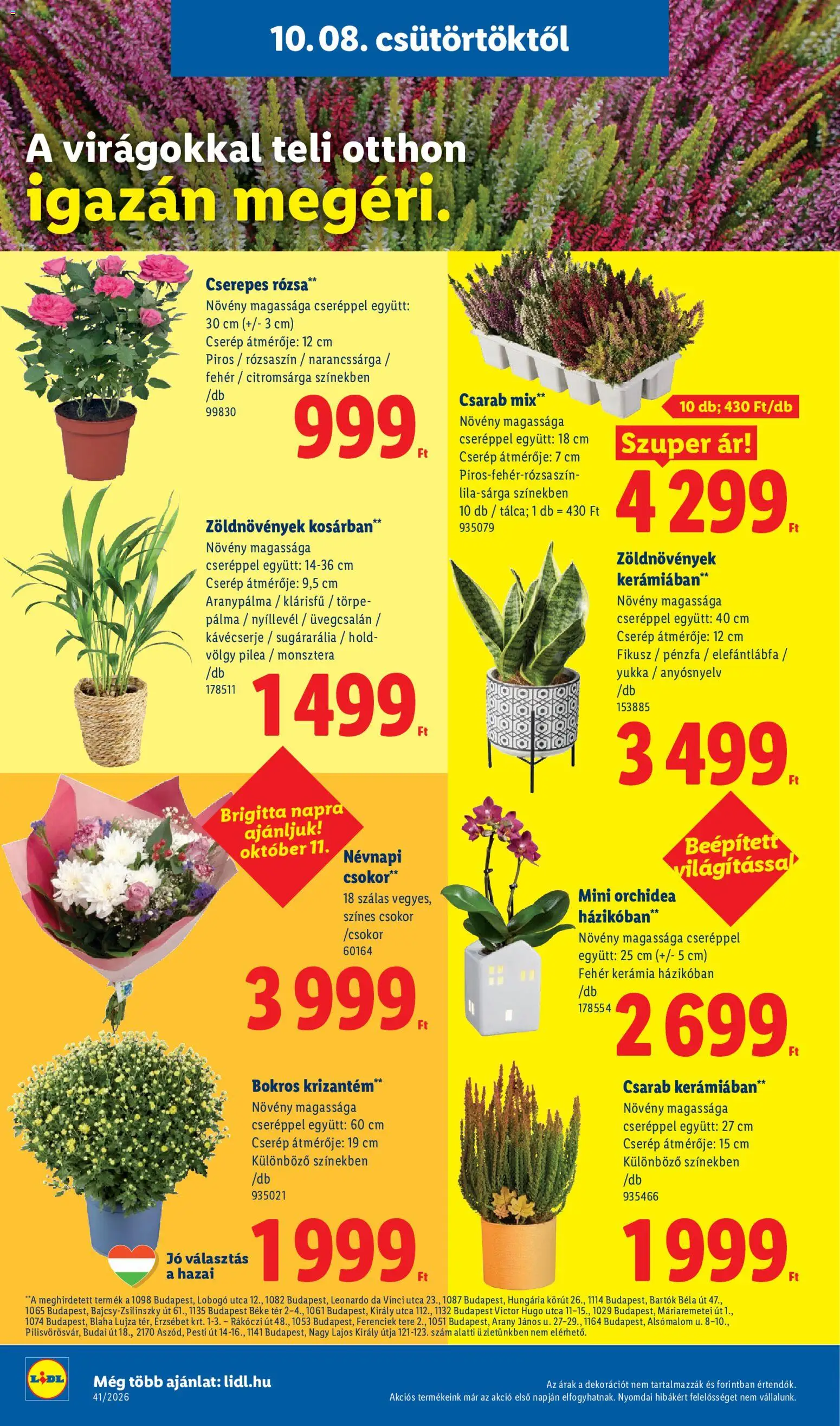 Lidl akciós újság Akciós újság in Magyarország