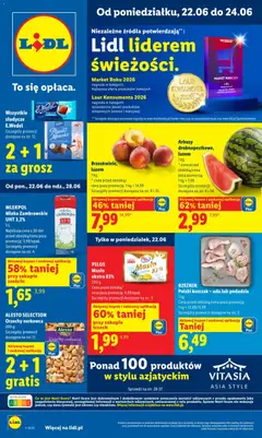 Lidl Lidl gazetka