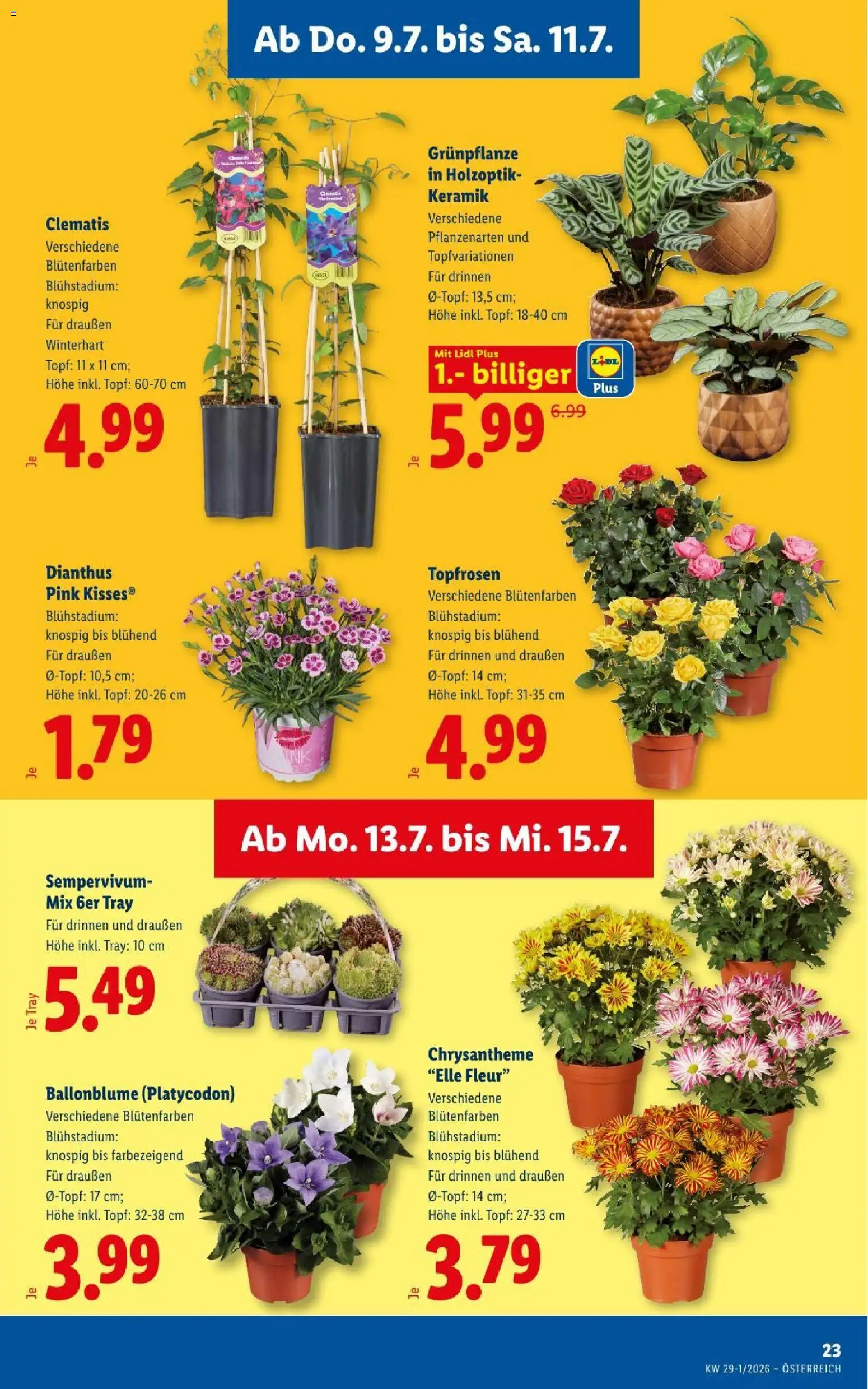 Jetzt sparen im Lidl - Flugblatt | 09.07.2026 ✳️ Angebote ab Donnerstag | Österreich