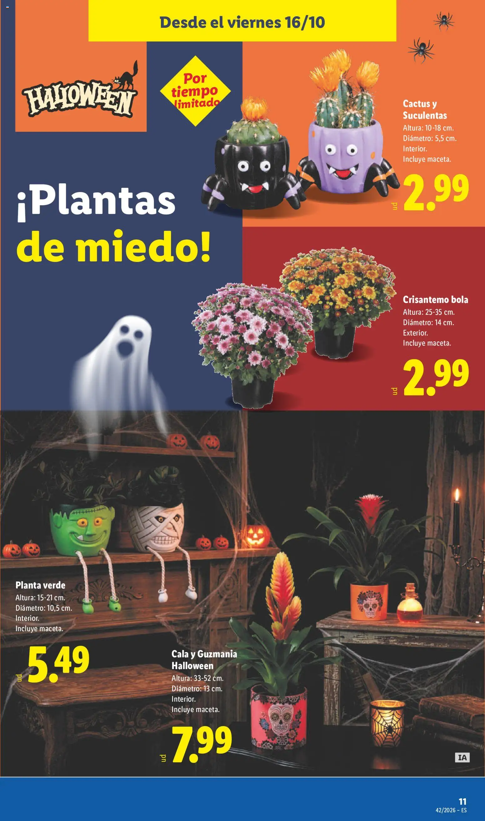 Lidl folleto Folleto in España