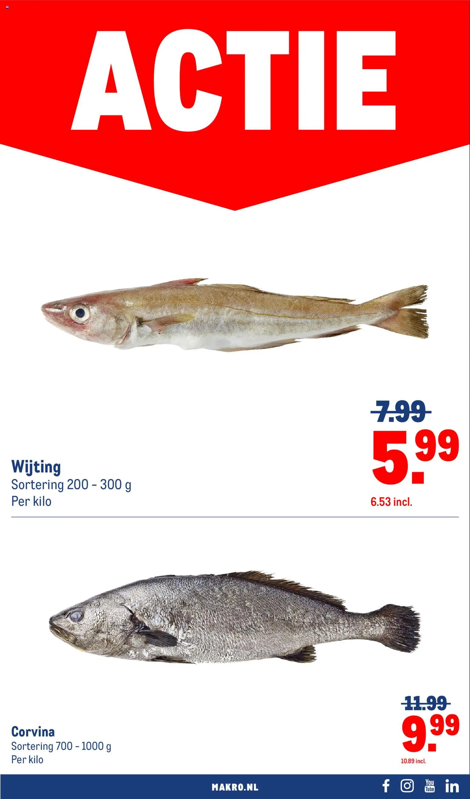 Makro folder Folder in Nederland