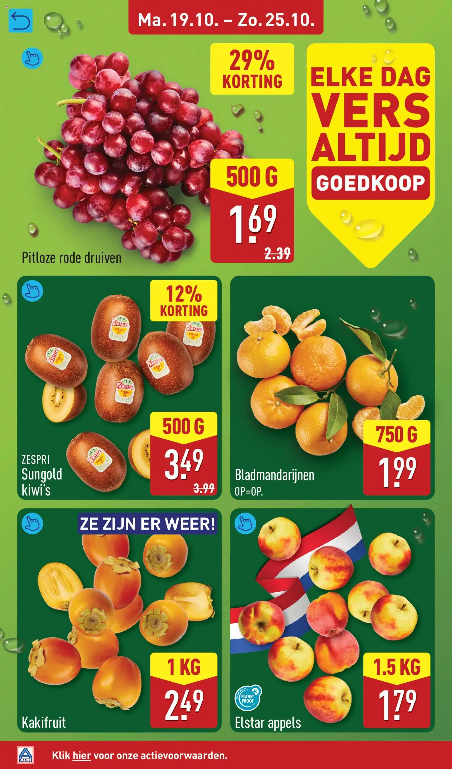 Aldi folder Folder in Nederland
