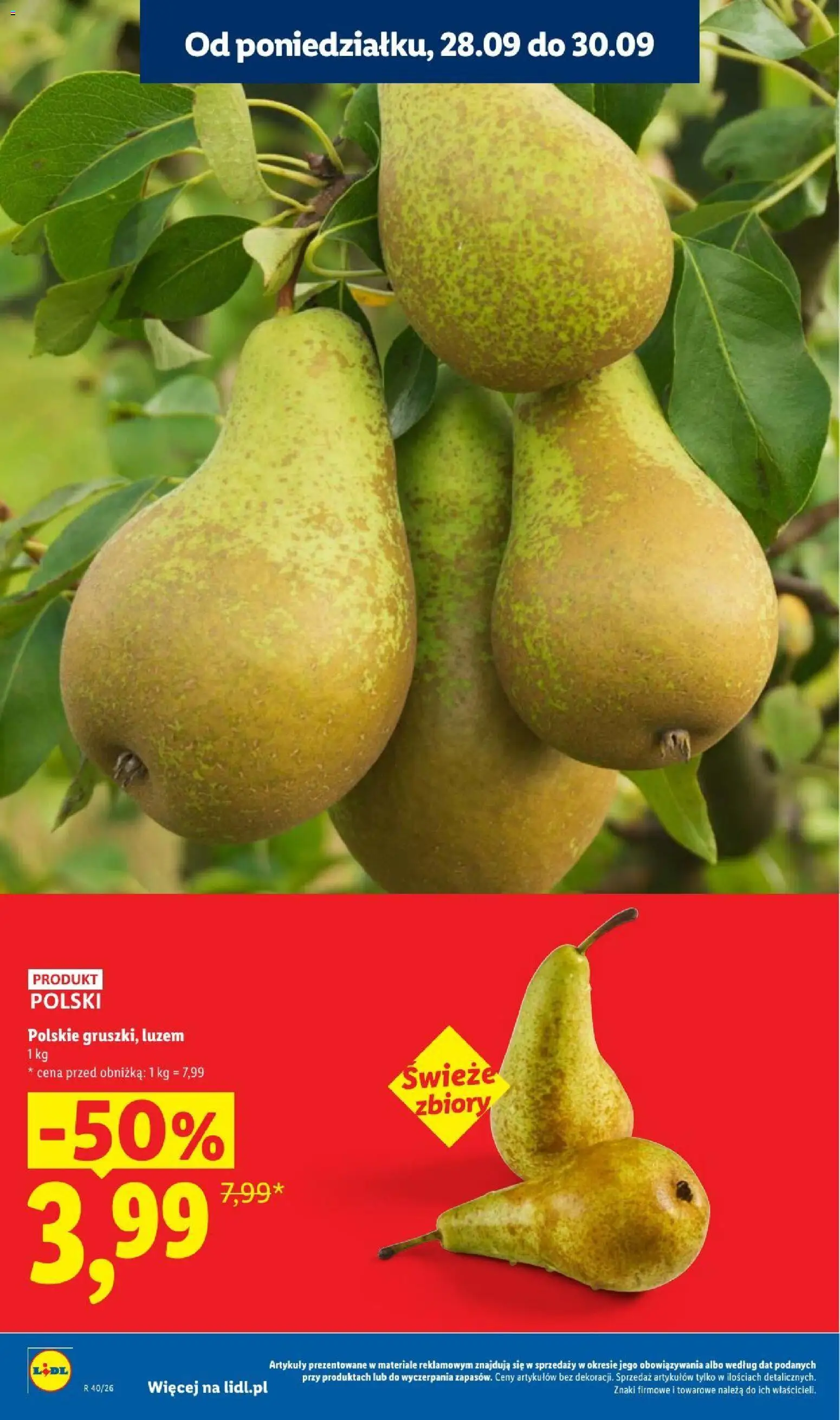 Lidl gazetka Gazetka in Polska
