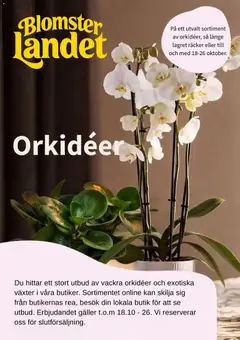 Blomsterlandet Blomsterlandet erbjudanden