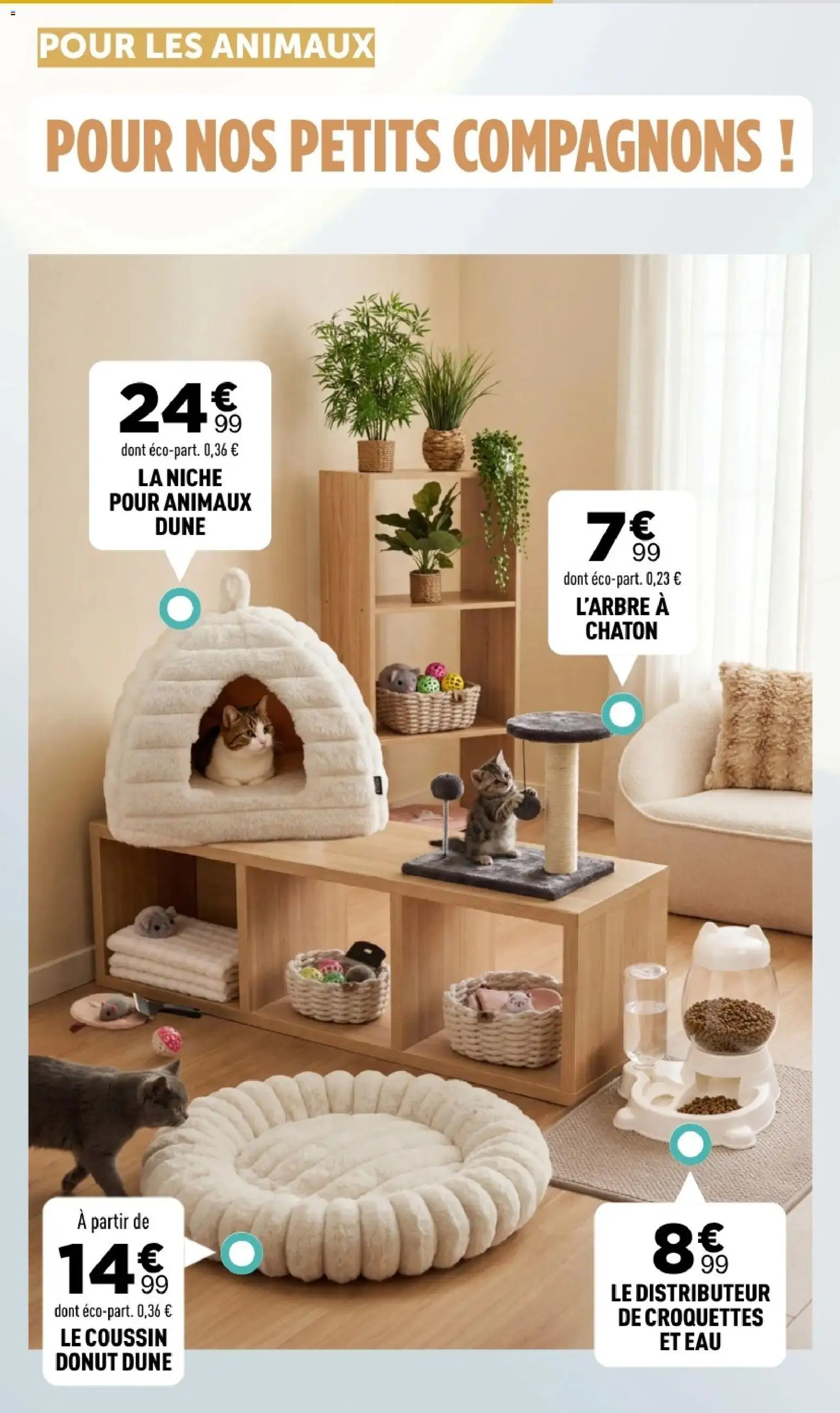 Centrakor catalogue Catalogue in France