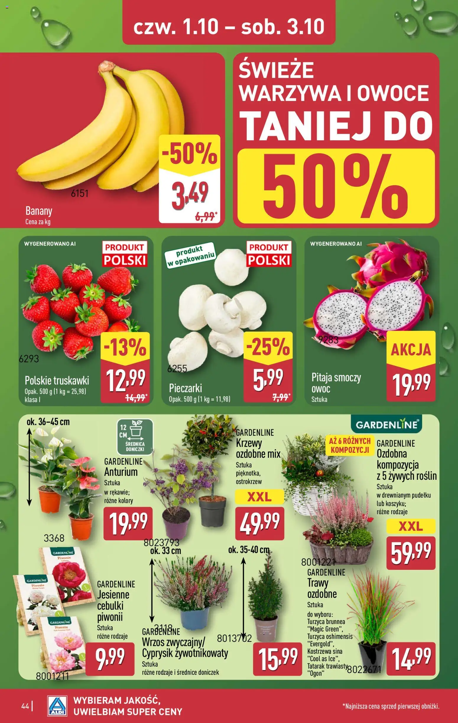 Aldi Polsko leták Leták in Česko