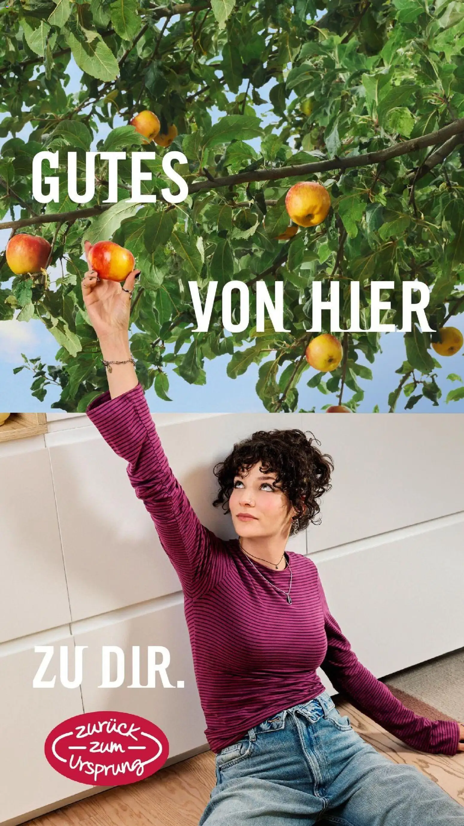 Hofer AT akciós újság Akciós újság in Magyarország