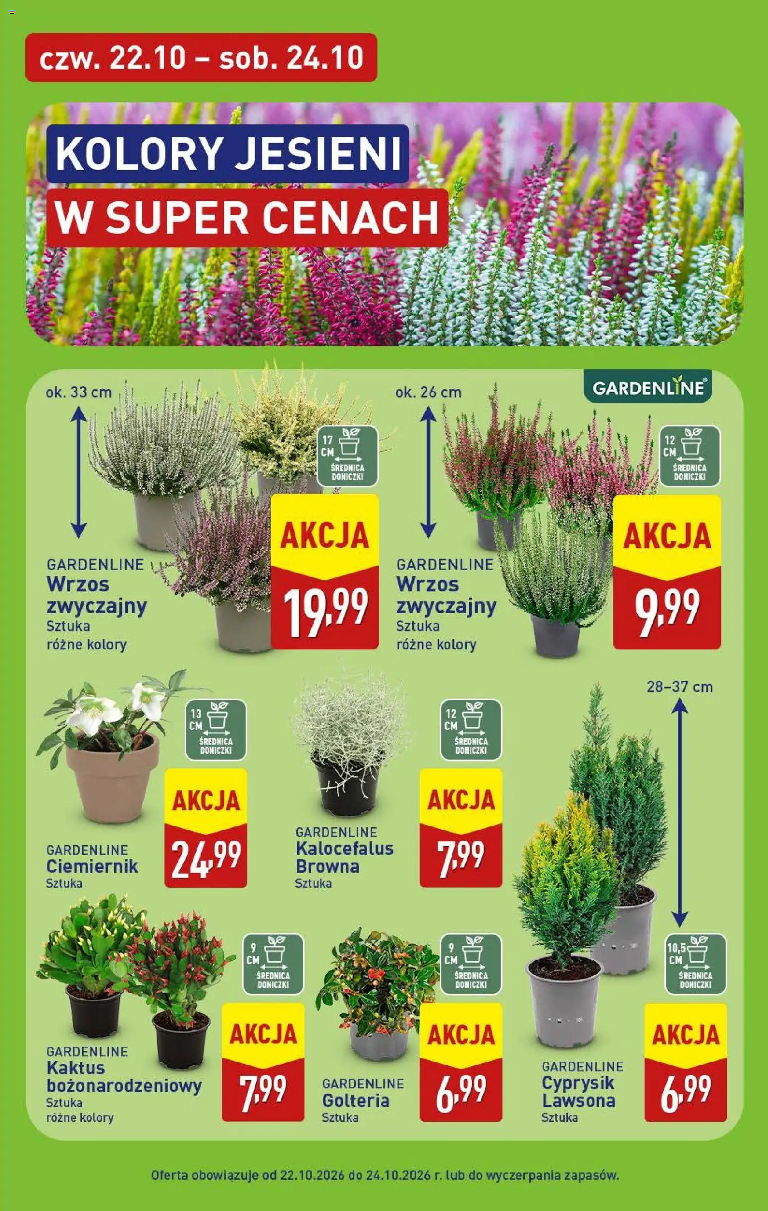 Aldi gazetka Gazetka in Polska