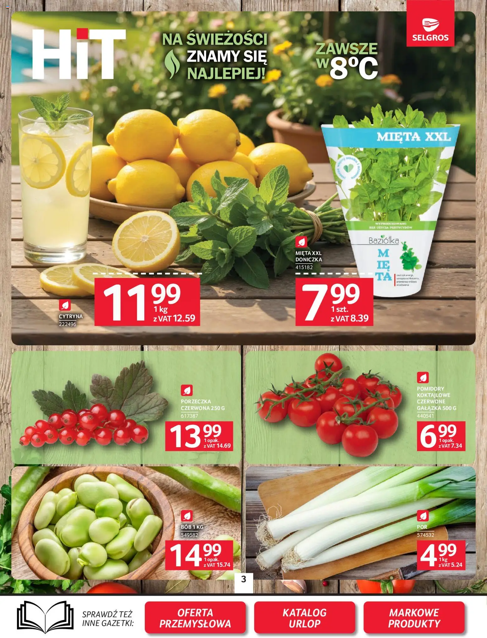 Selgros cash&carry gazetka od 02.07.2026 | 🔥 Mega okazje, które musisz zobaczyć! | Polska