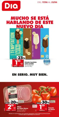 Dia Dia - folleto Market