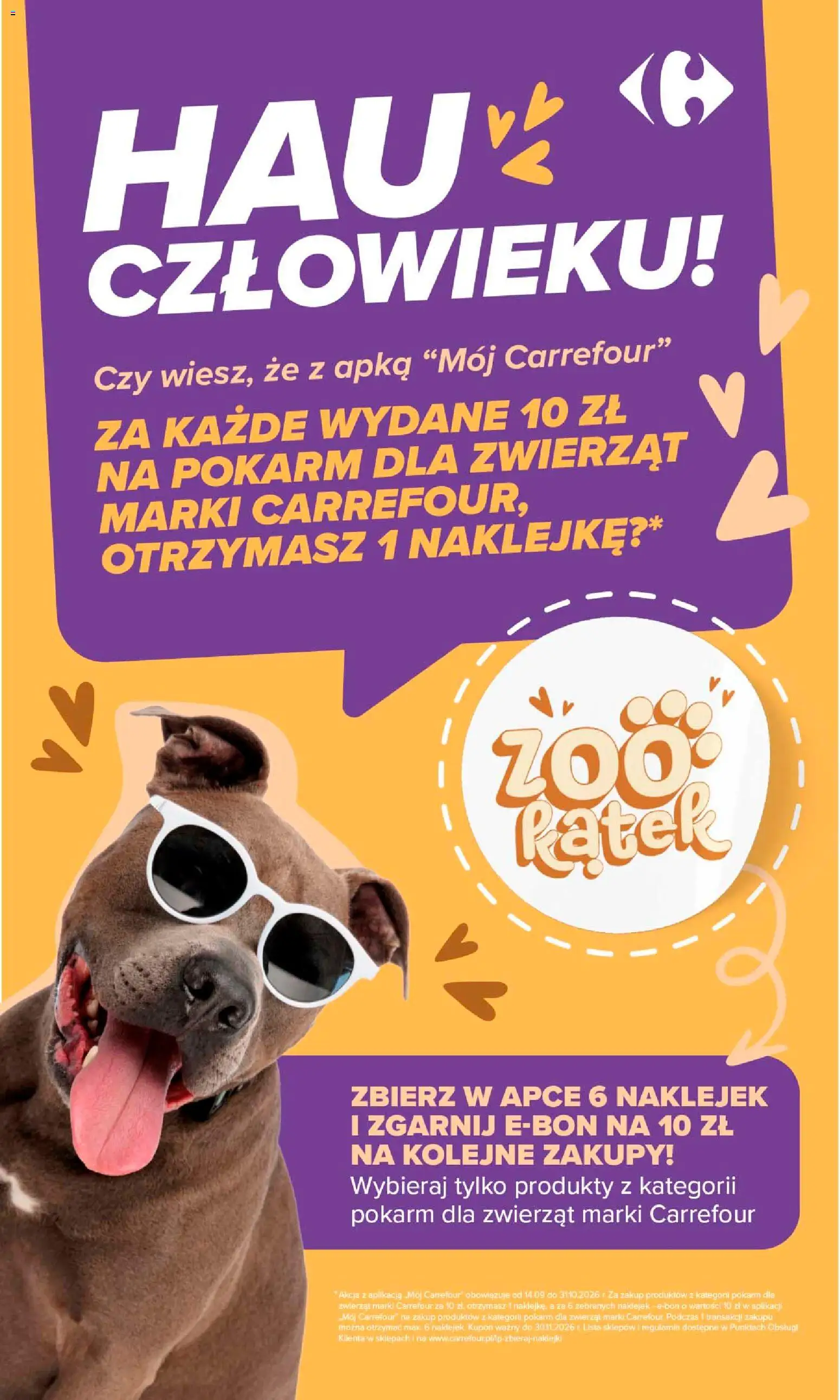 Carrefour gazetka Gazetka in Polska