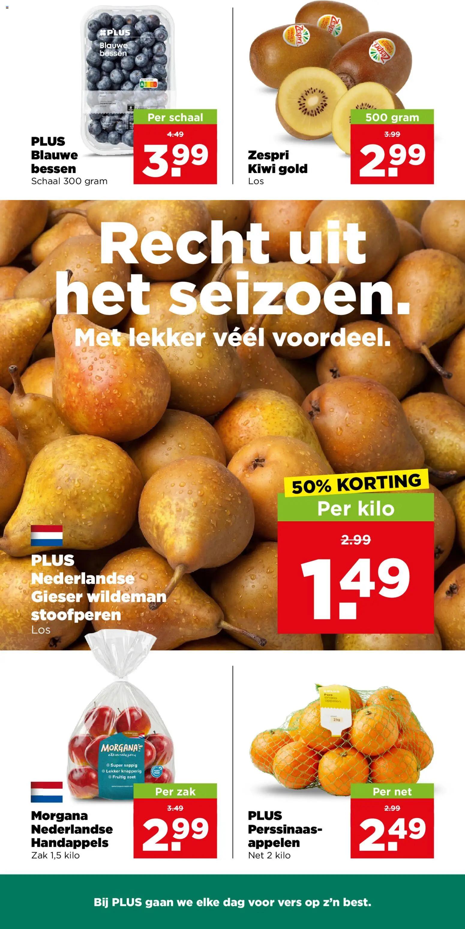Plus folder Folder in Nederland